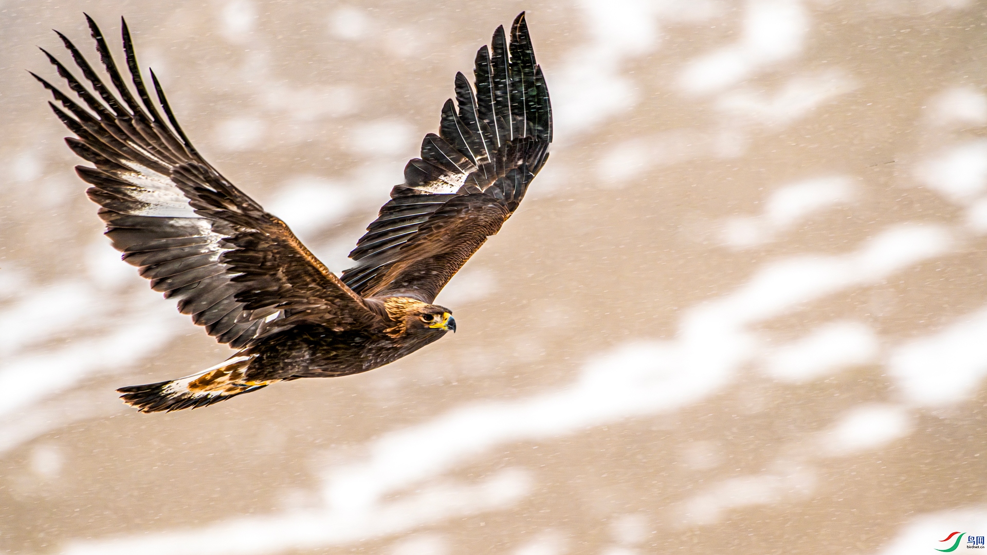 _DSC8441 ����_����.jpg