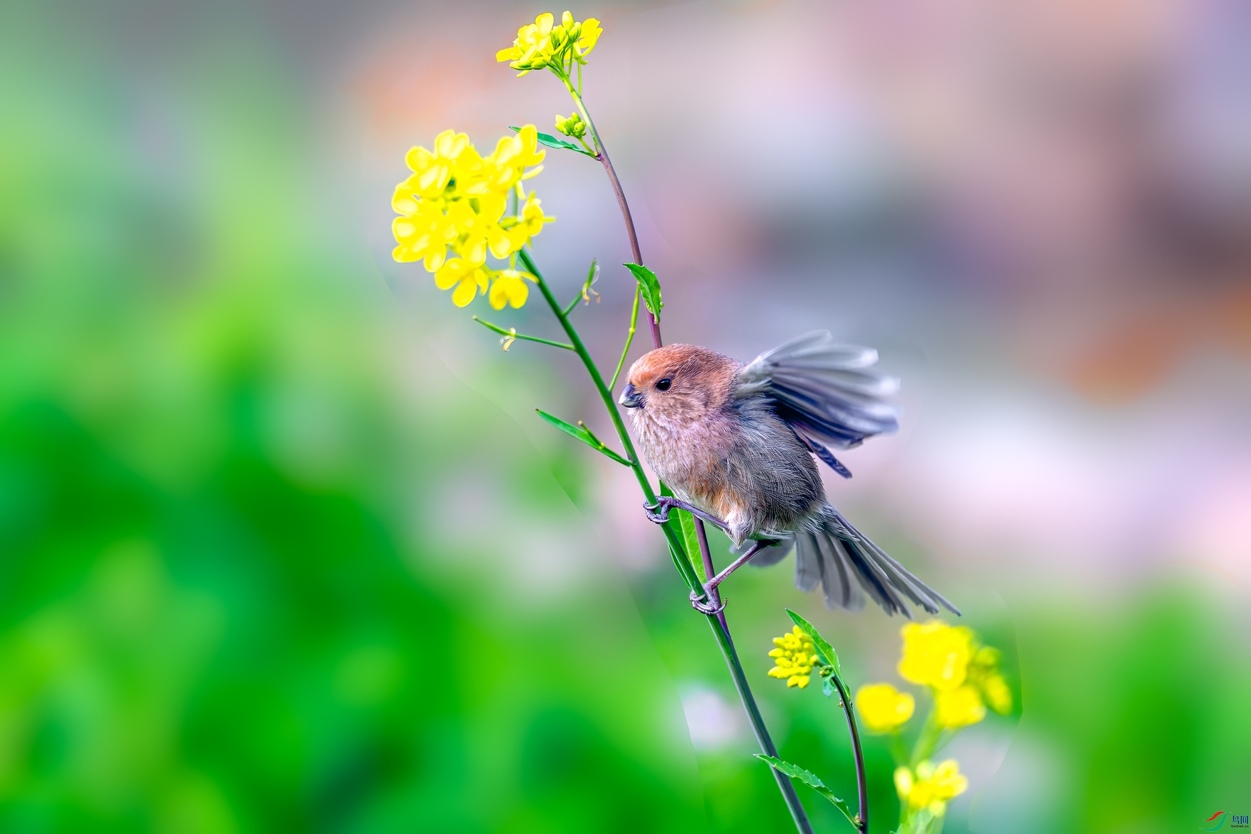 _DSC0673_����.jpg