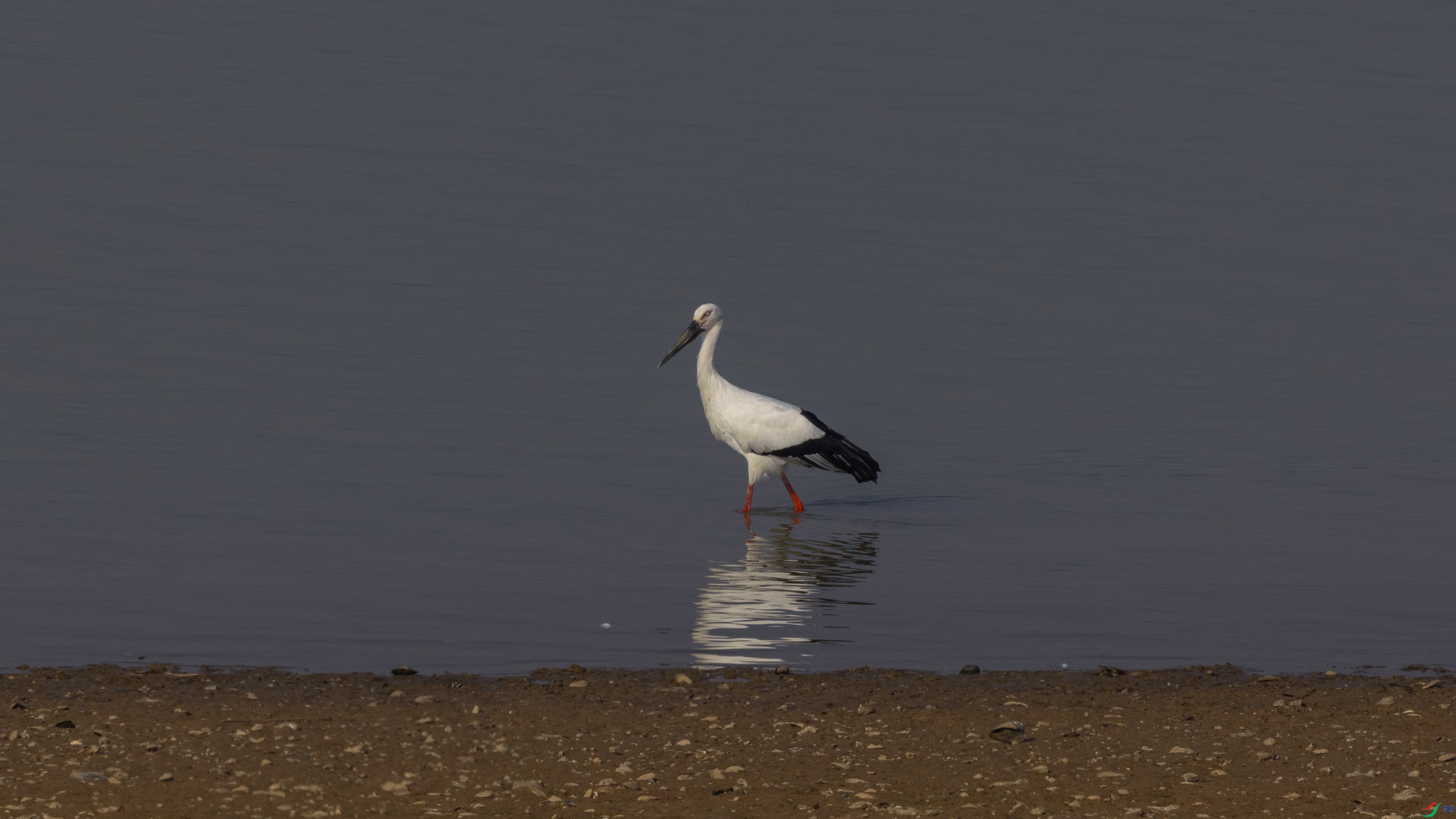 _O7A2981 ����.jpg