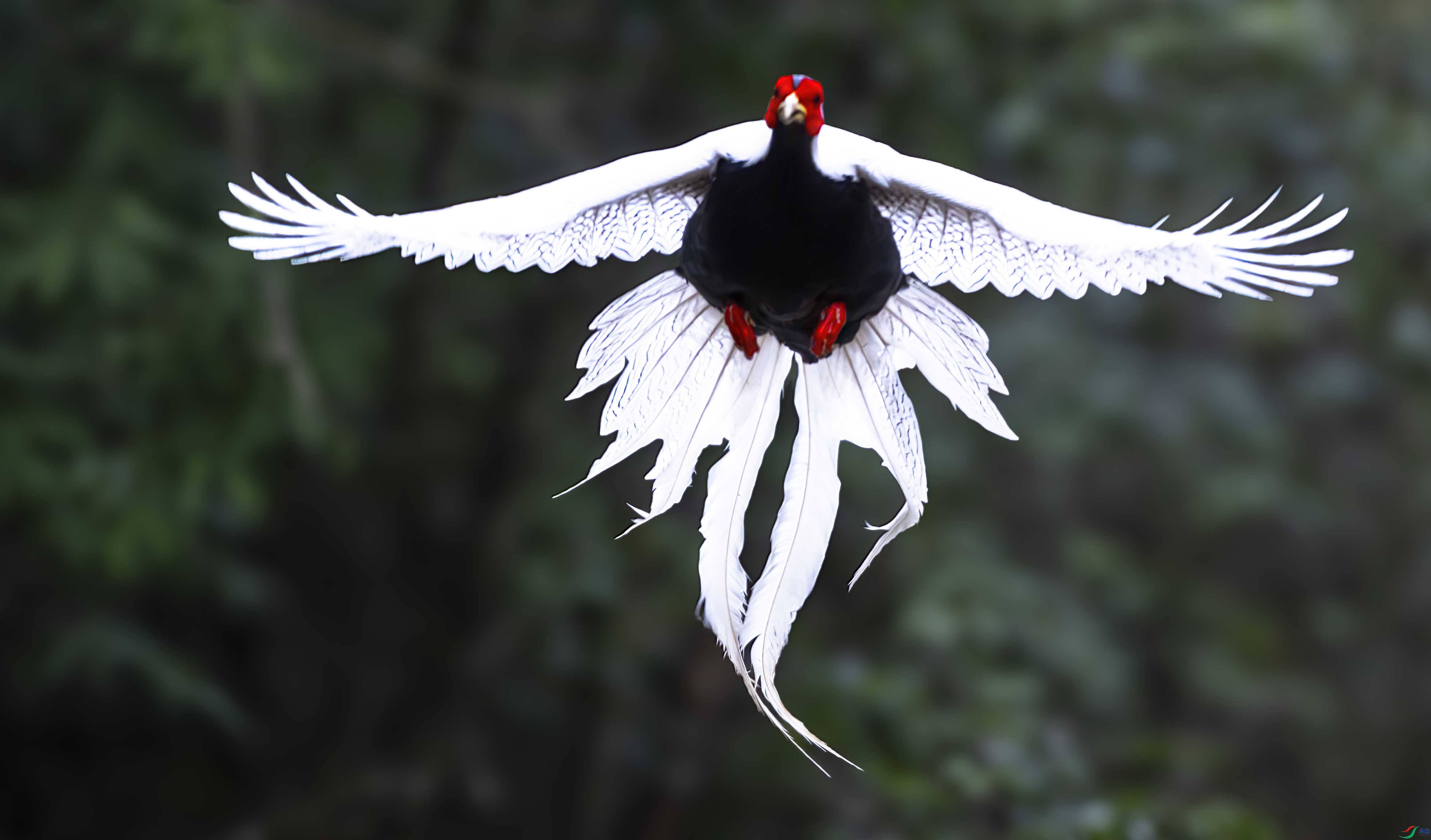 _DSC8352 ����.jpg