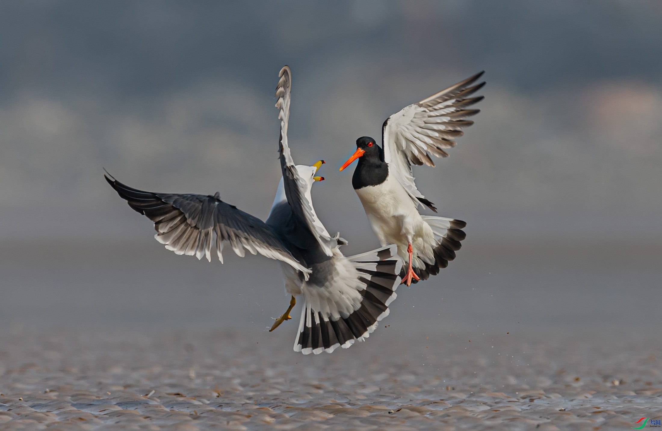 ��βŸ������