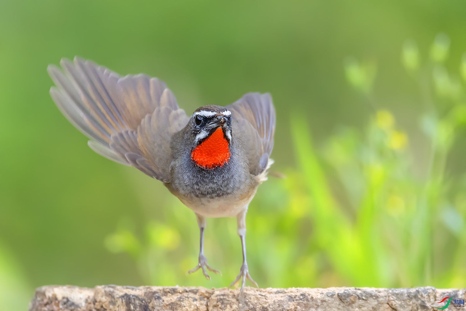 0F7A6643 ����   ������.jpg