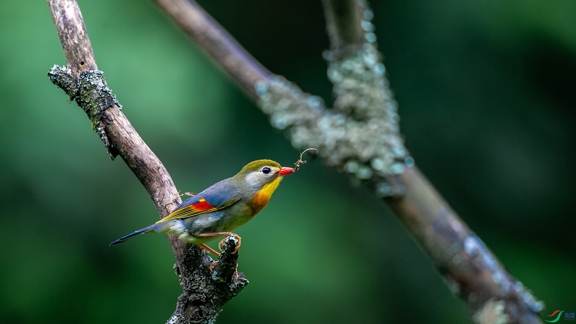 ������˼��