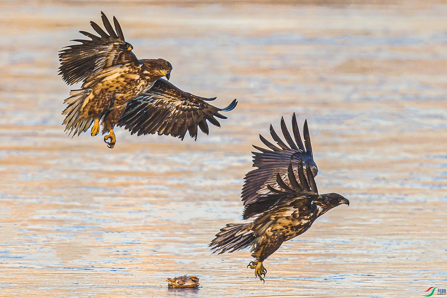 _MG_1097 ���� 2.jpg