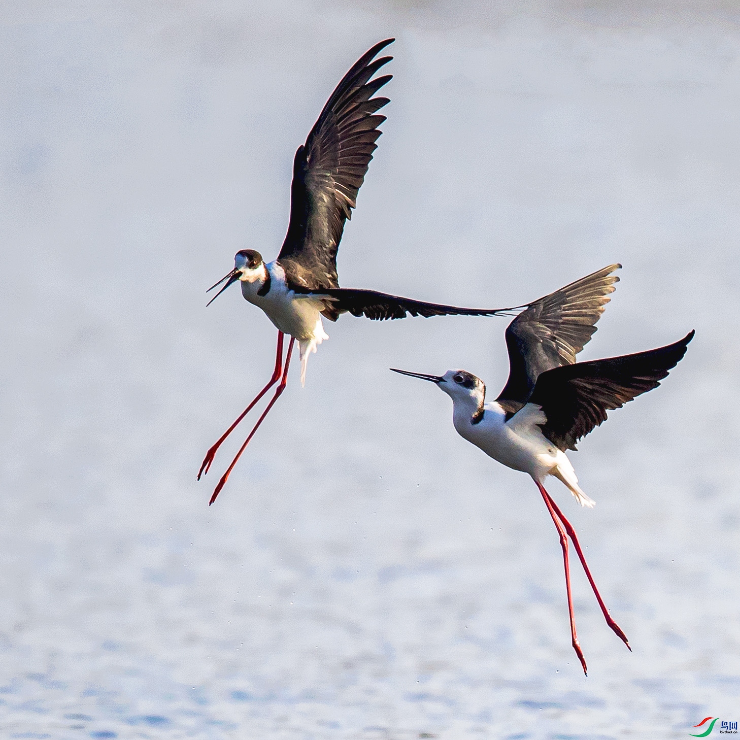 _90I8524 ����.jpg