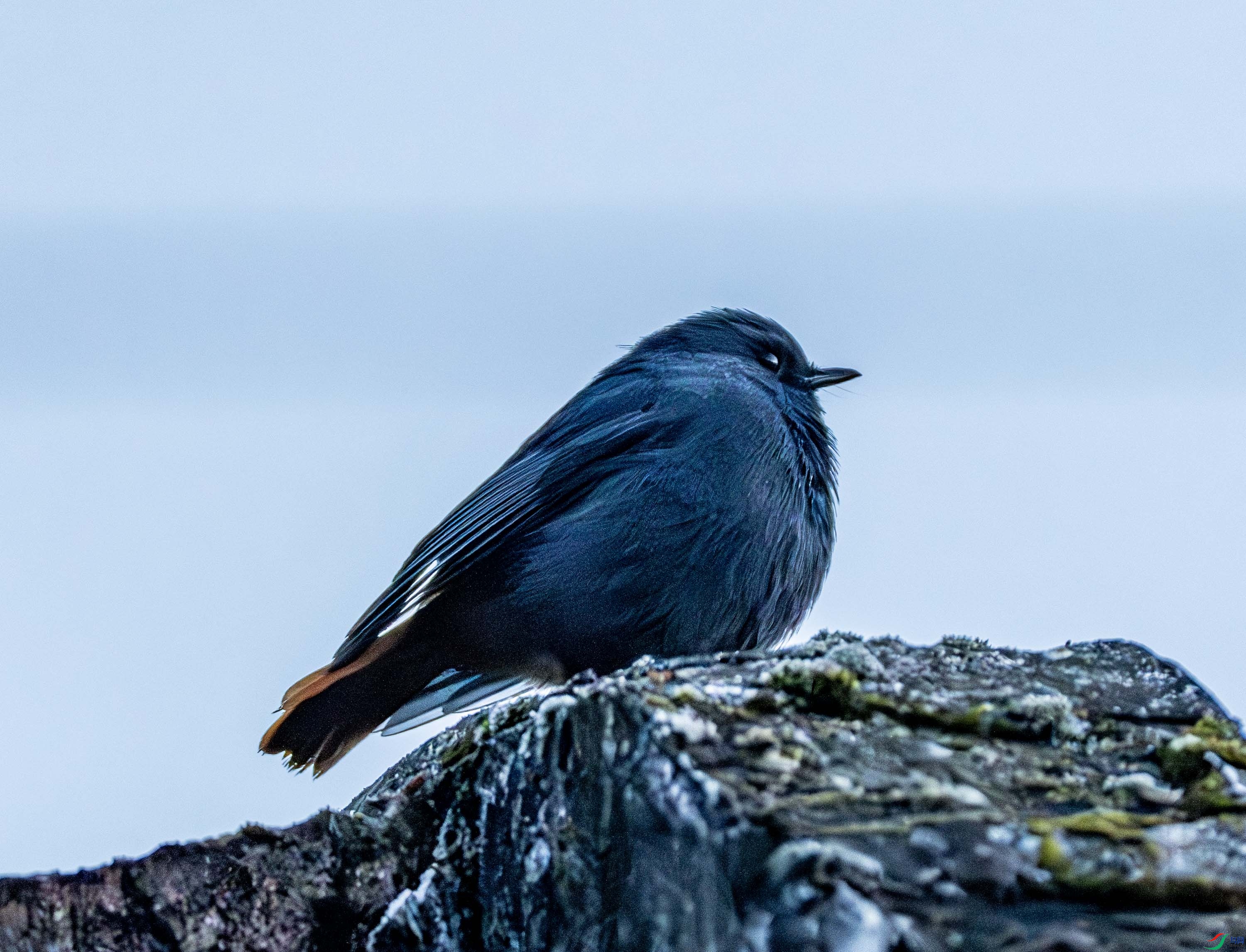 ��βˮ�-01-3 (5).jpg