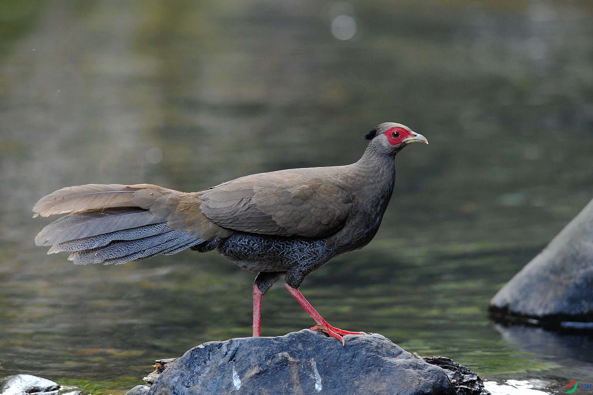 DSC_8747.jpg