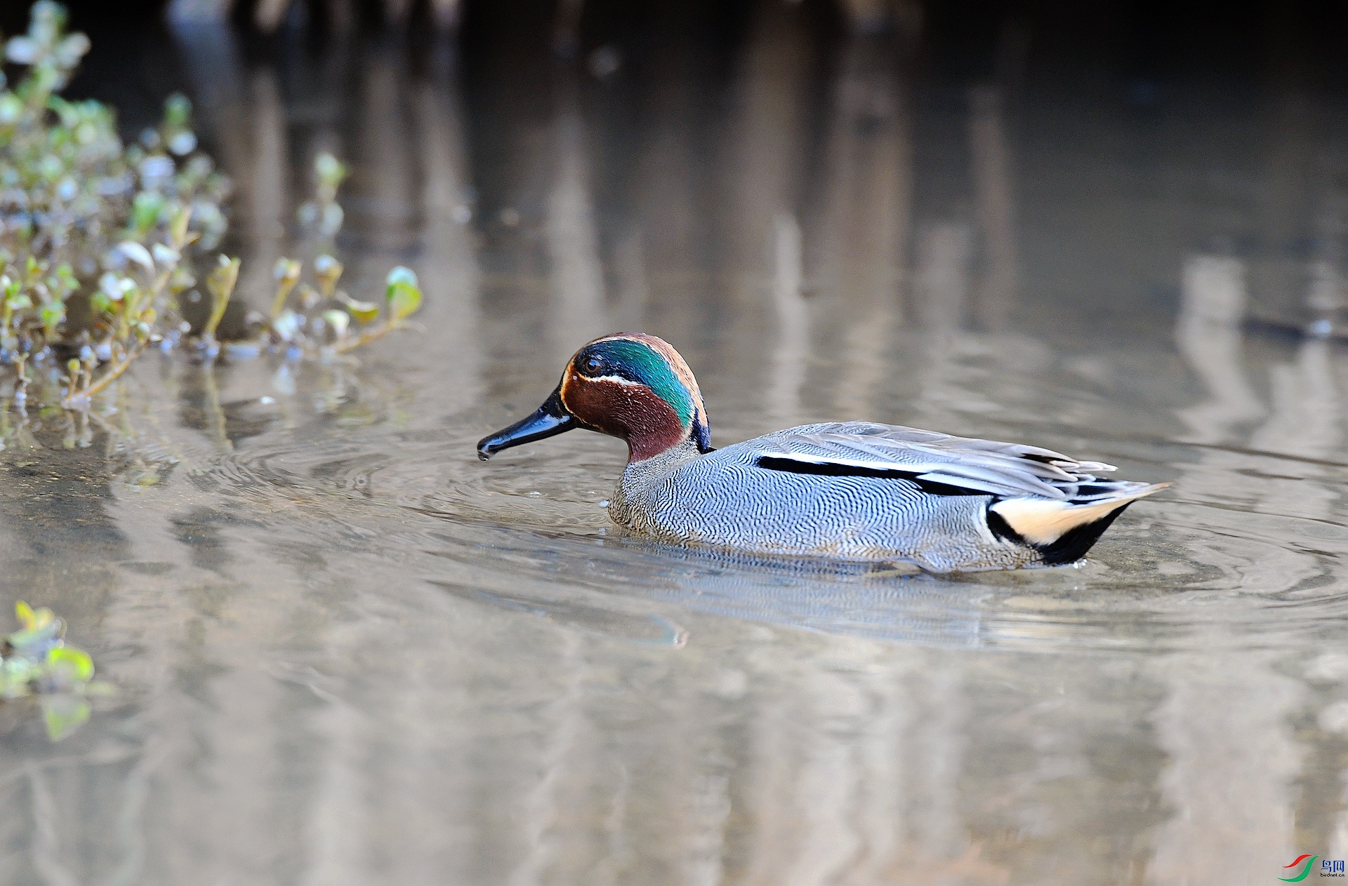 DSC_8721.jpg