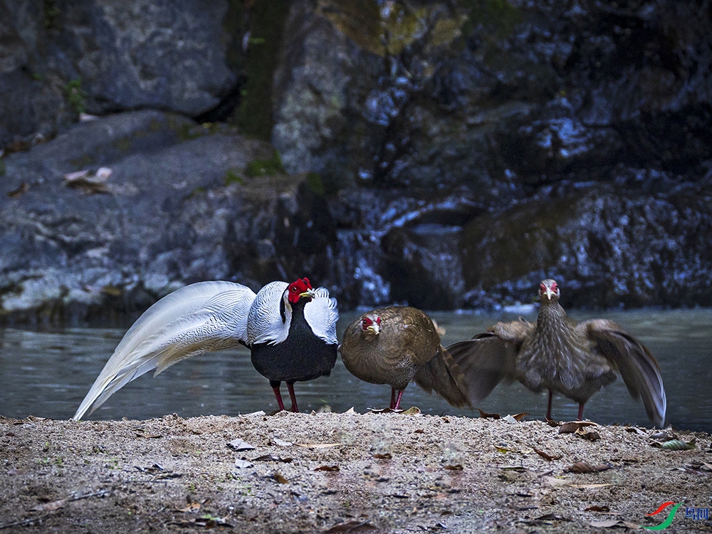 _B3A3959����-һ������ ����.jpg