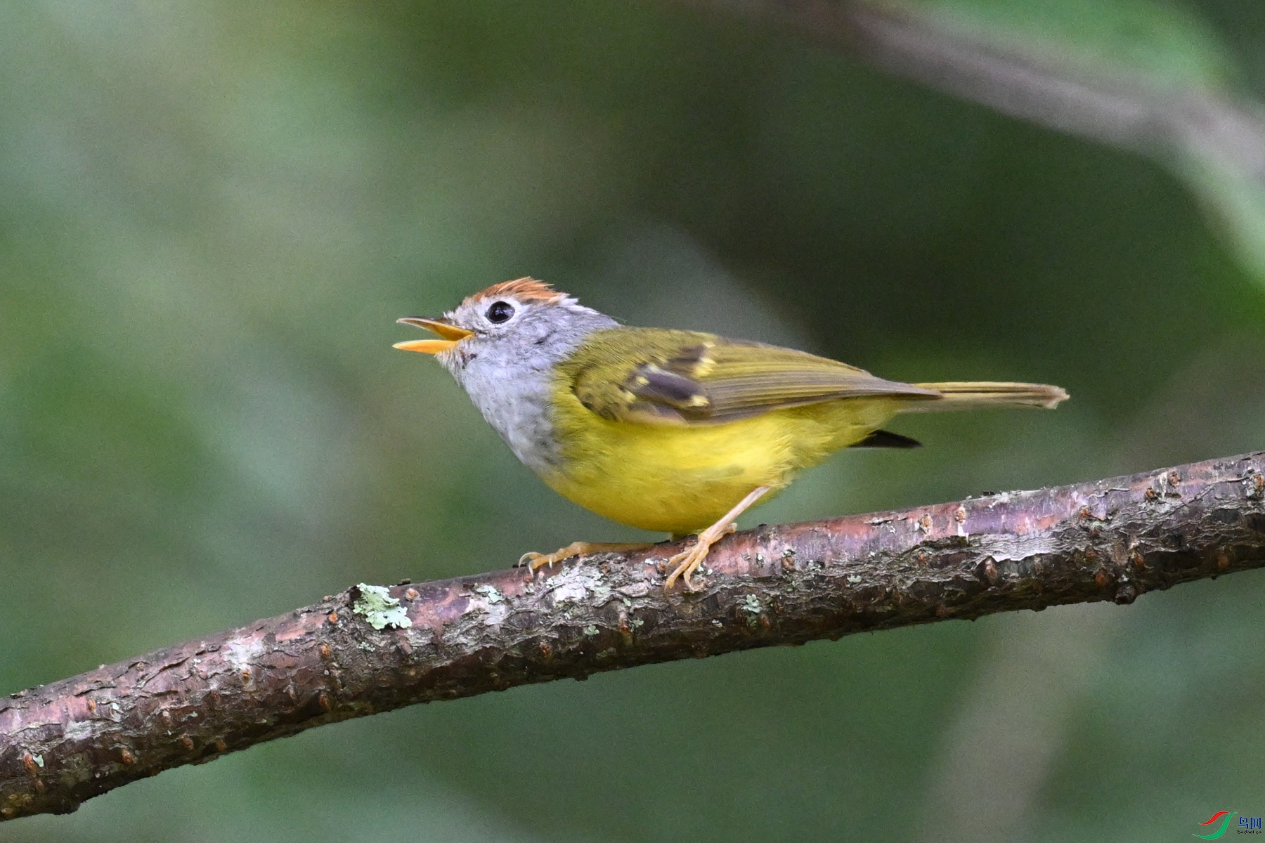 DSC_2798.JPG
