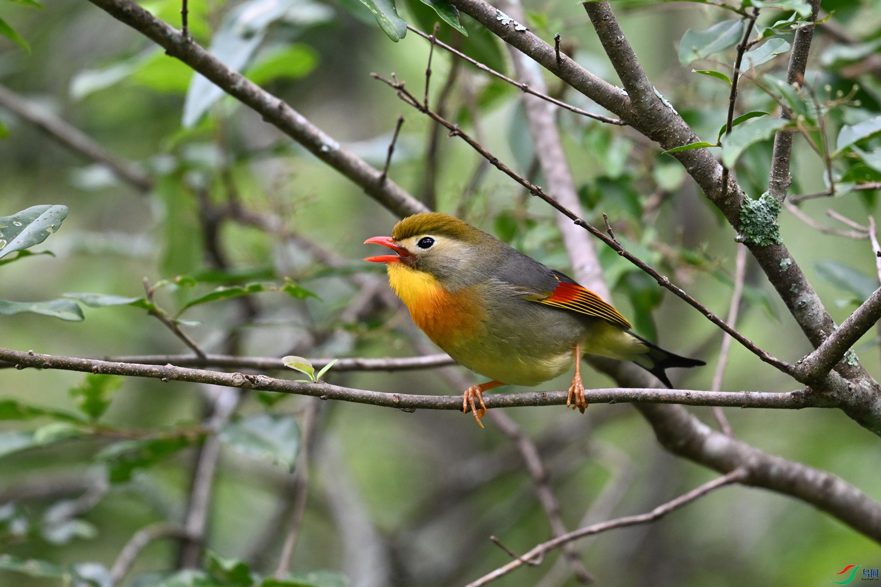 DSC_2839.JPG