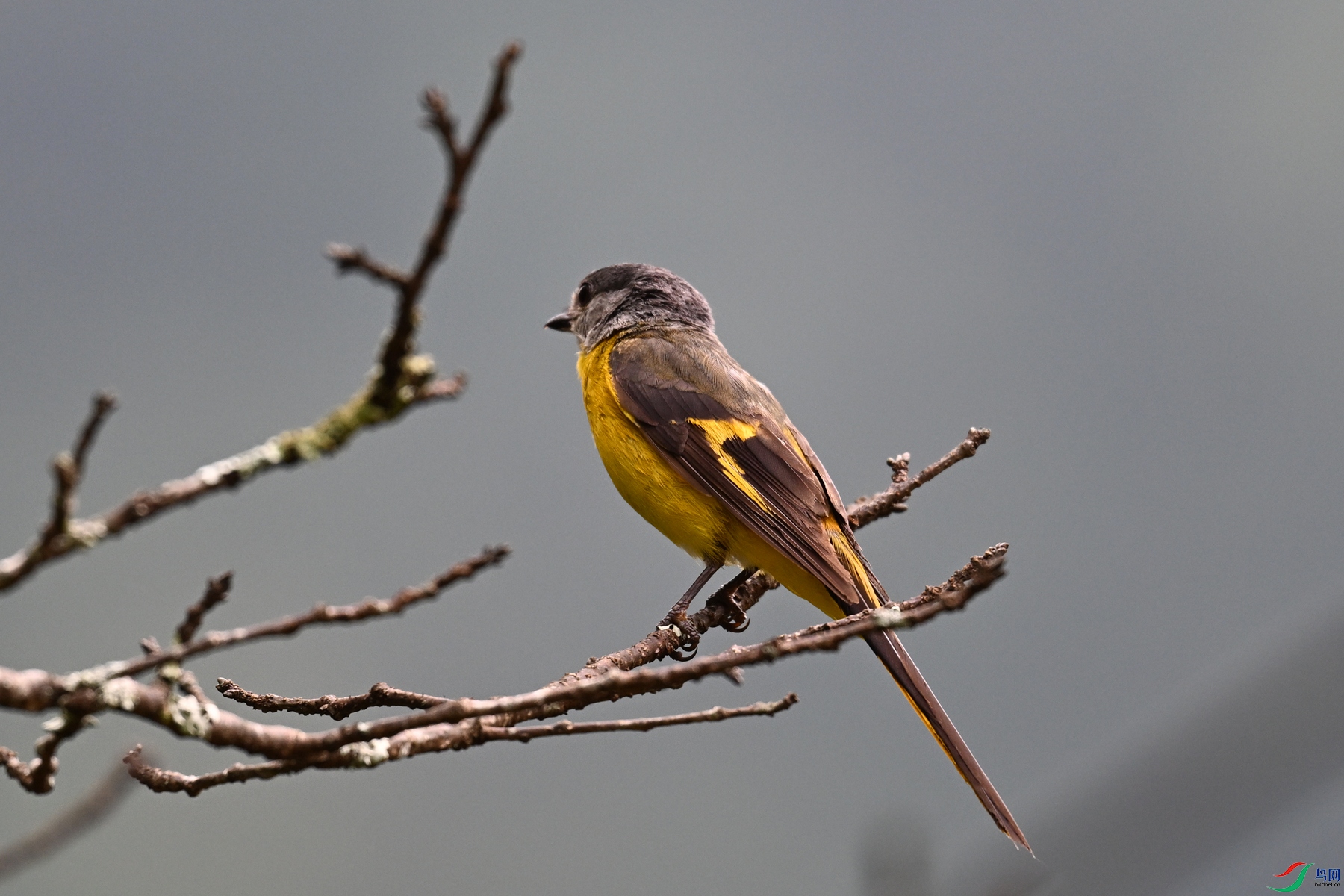 DSC_2856.JPG