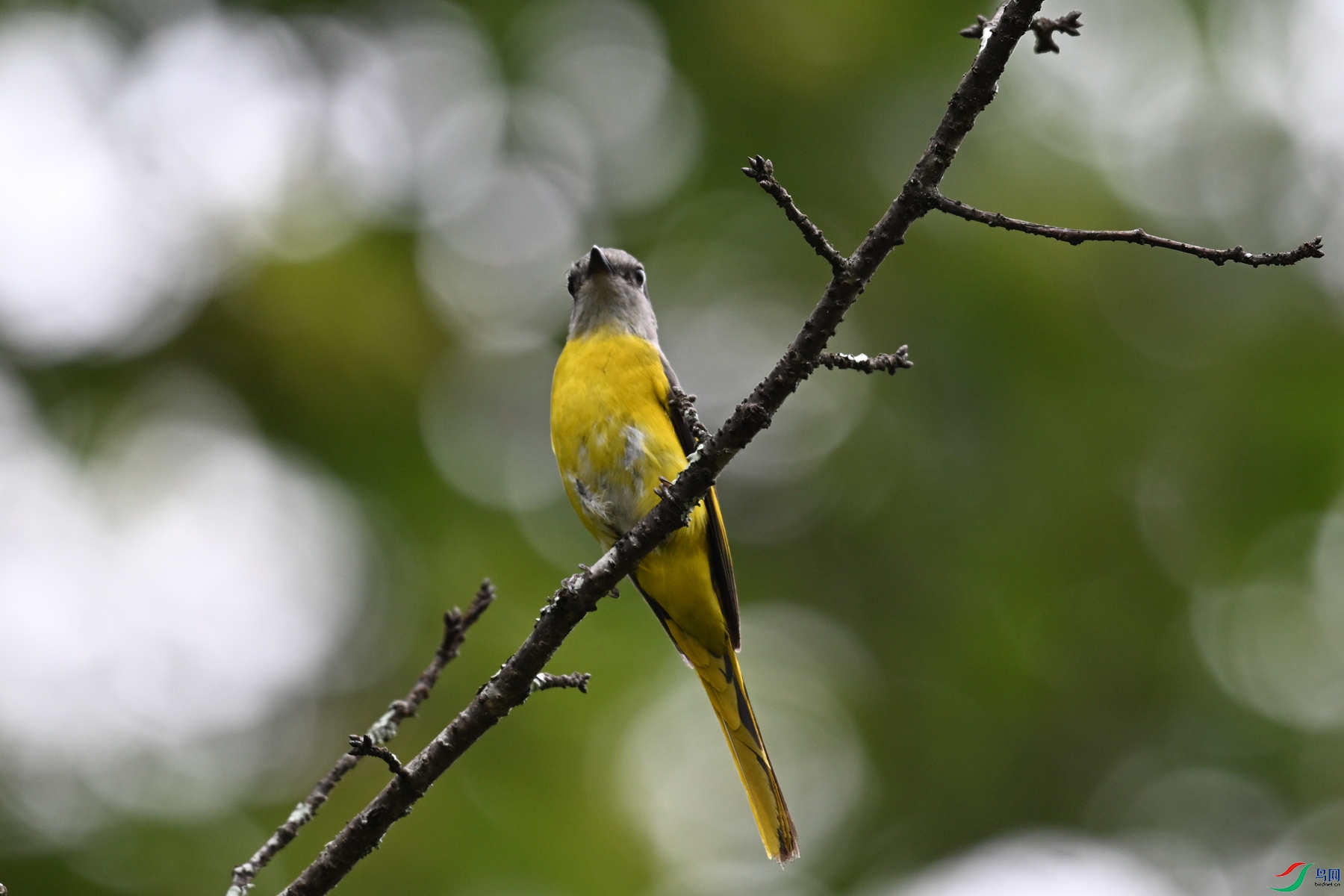 DSC_2845.JPG