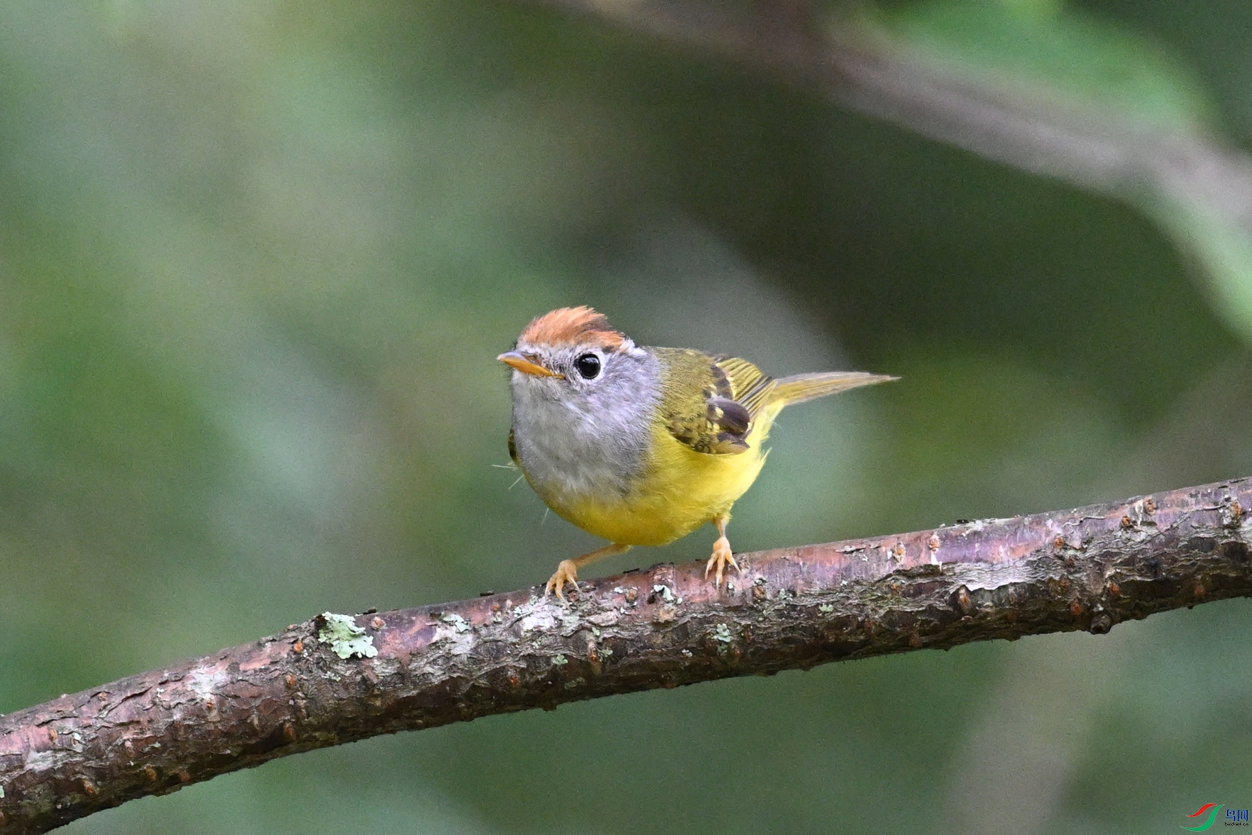 DSC_2807.JPG