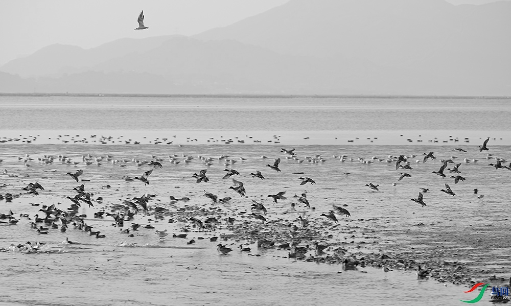 DSCF4868.1.jpg