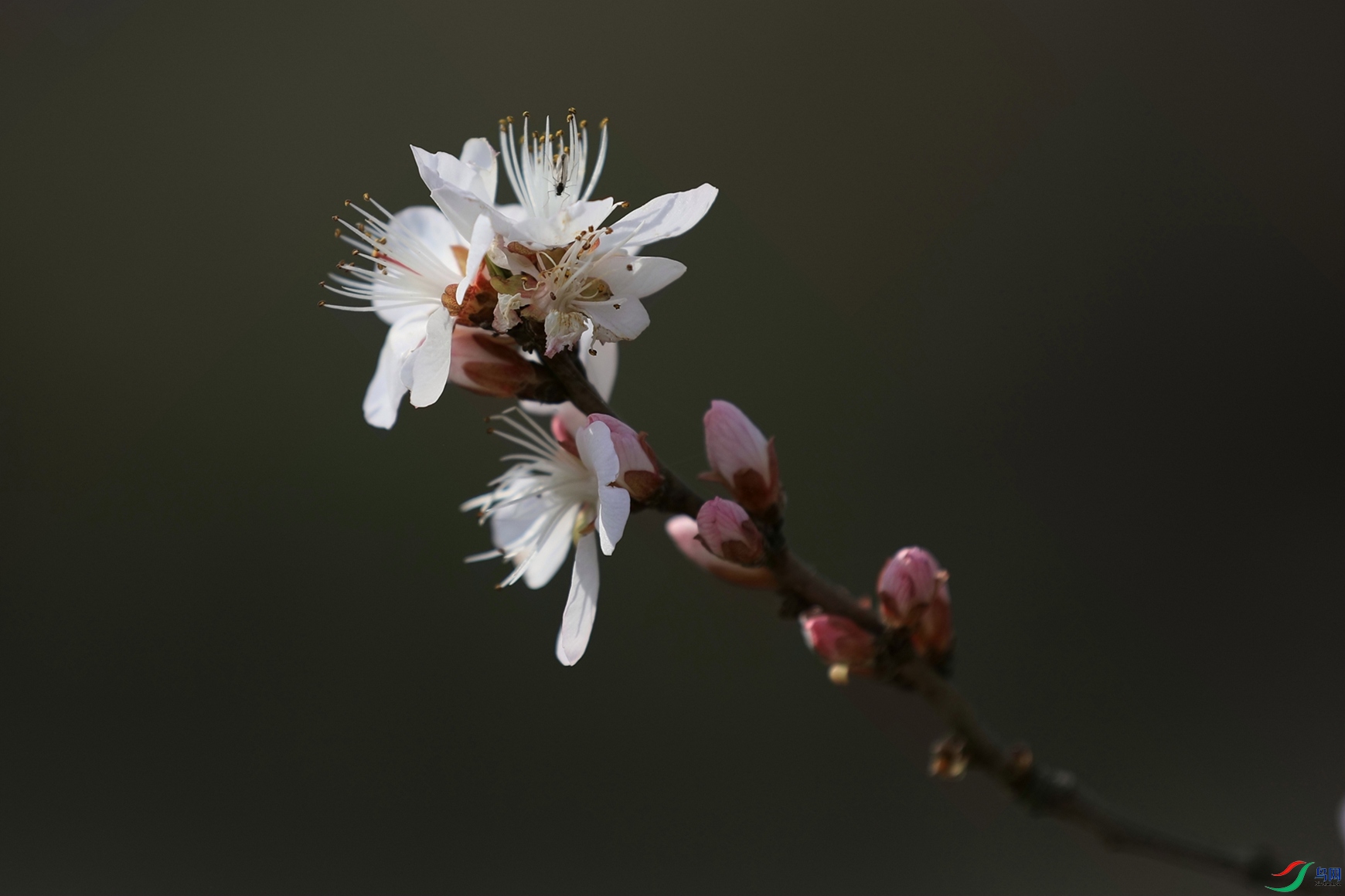 3X7A7118.JPG