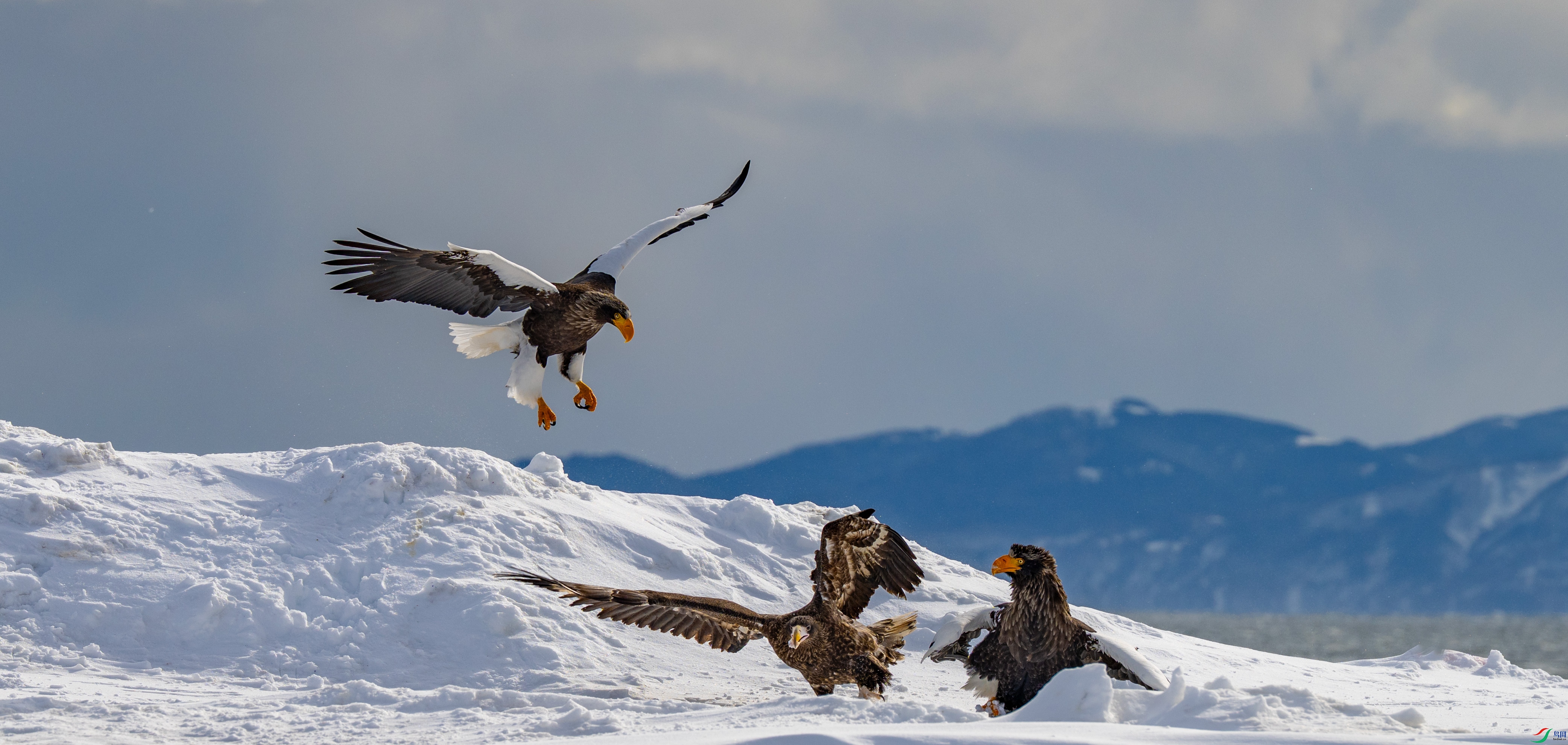 _DSC3218==1w.jpg