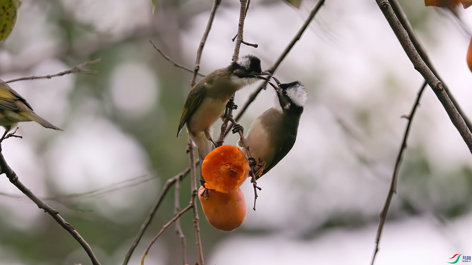 ��֡ 2026-03-24 141524_1.1.jpg