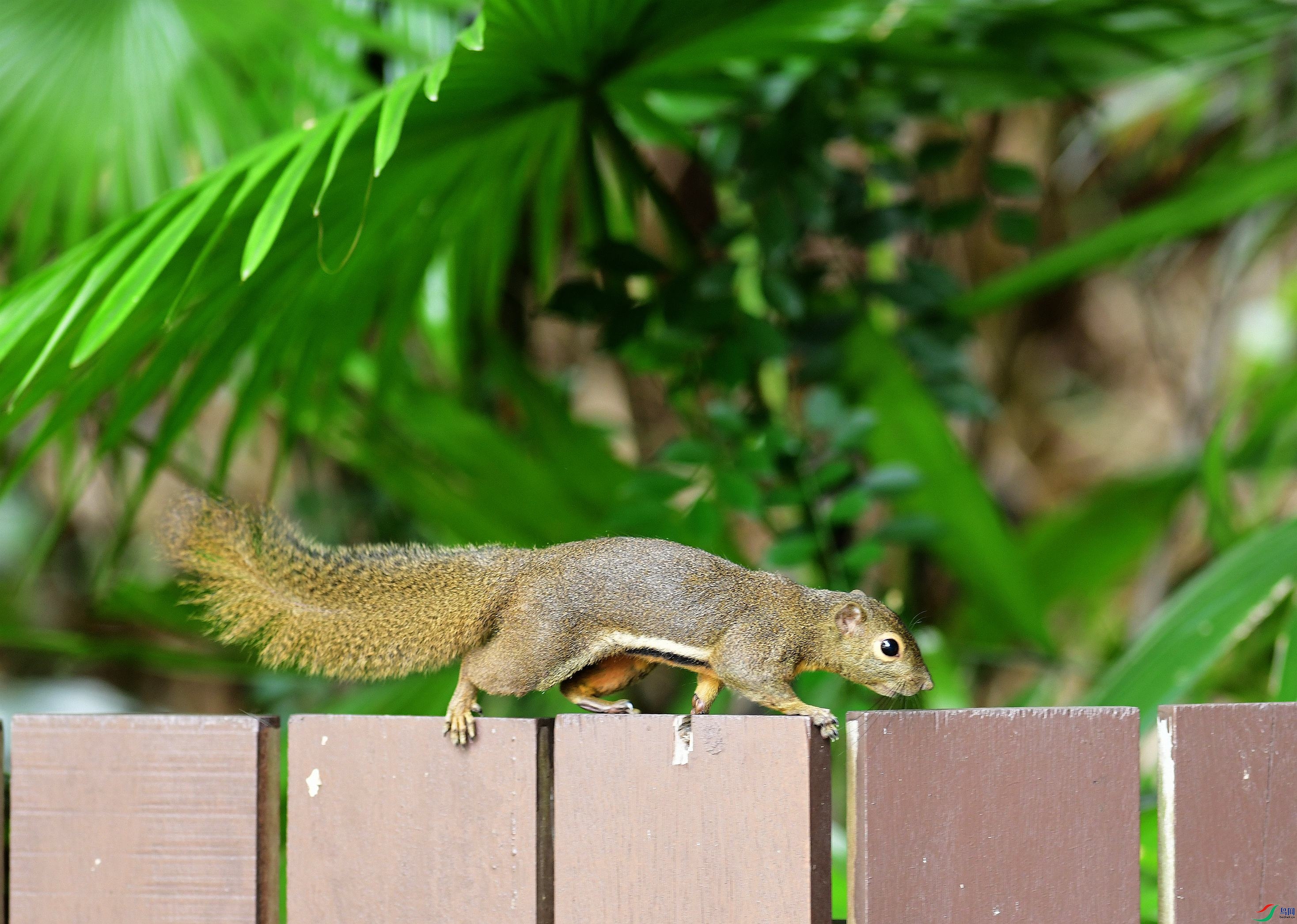 DSC_4414.JPG