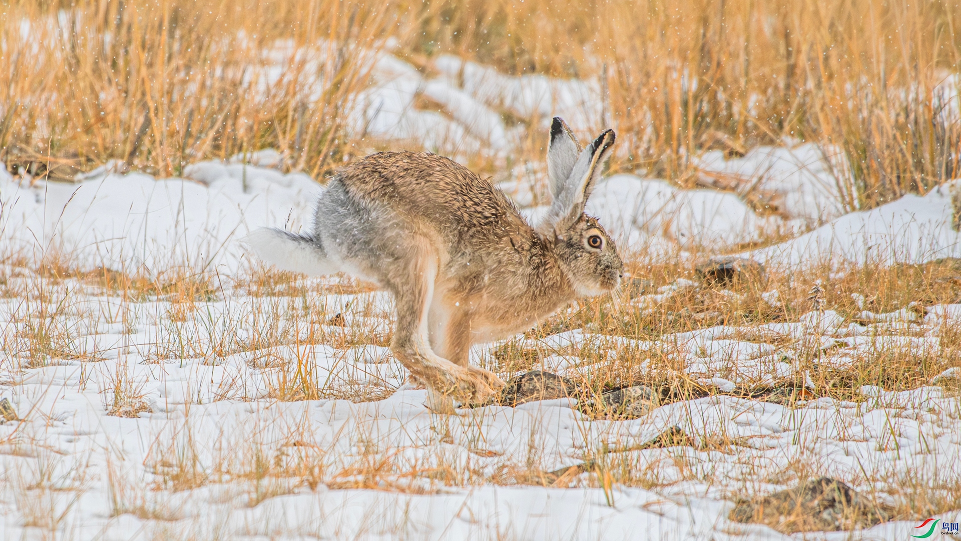 _DSC8455 ����_����.jpg