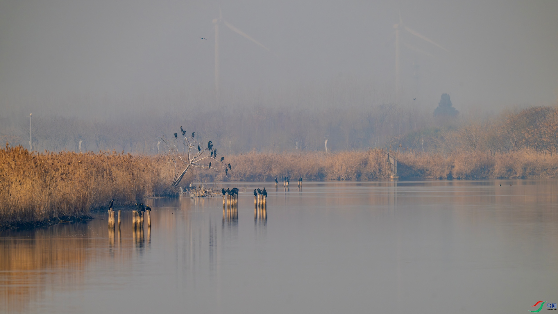 DSC_3646 ����_����.jpg