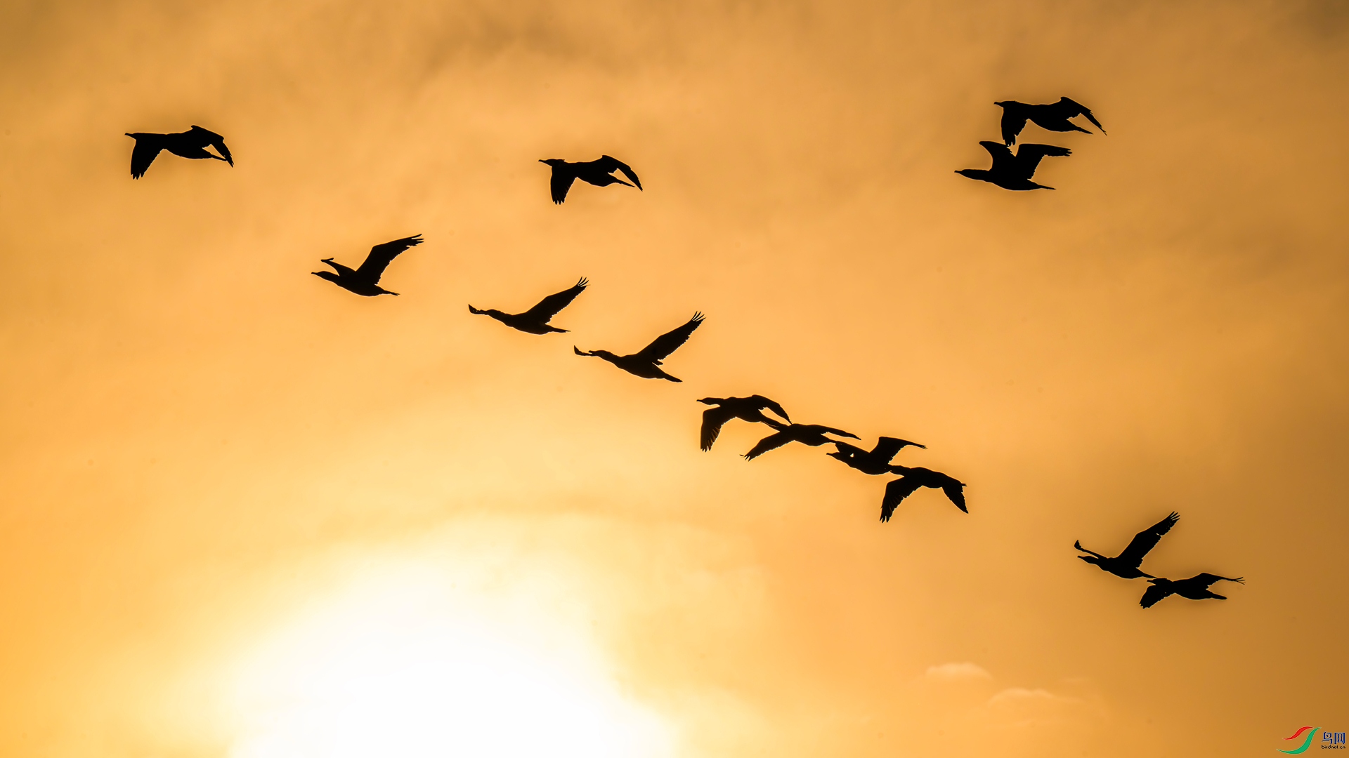 DSC_9590 ����_����.jpg