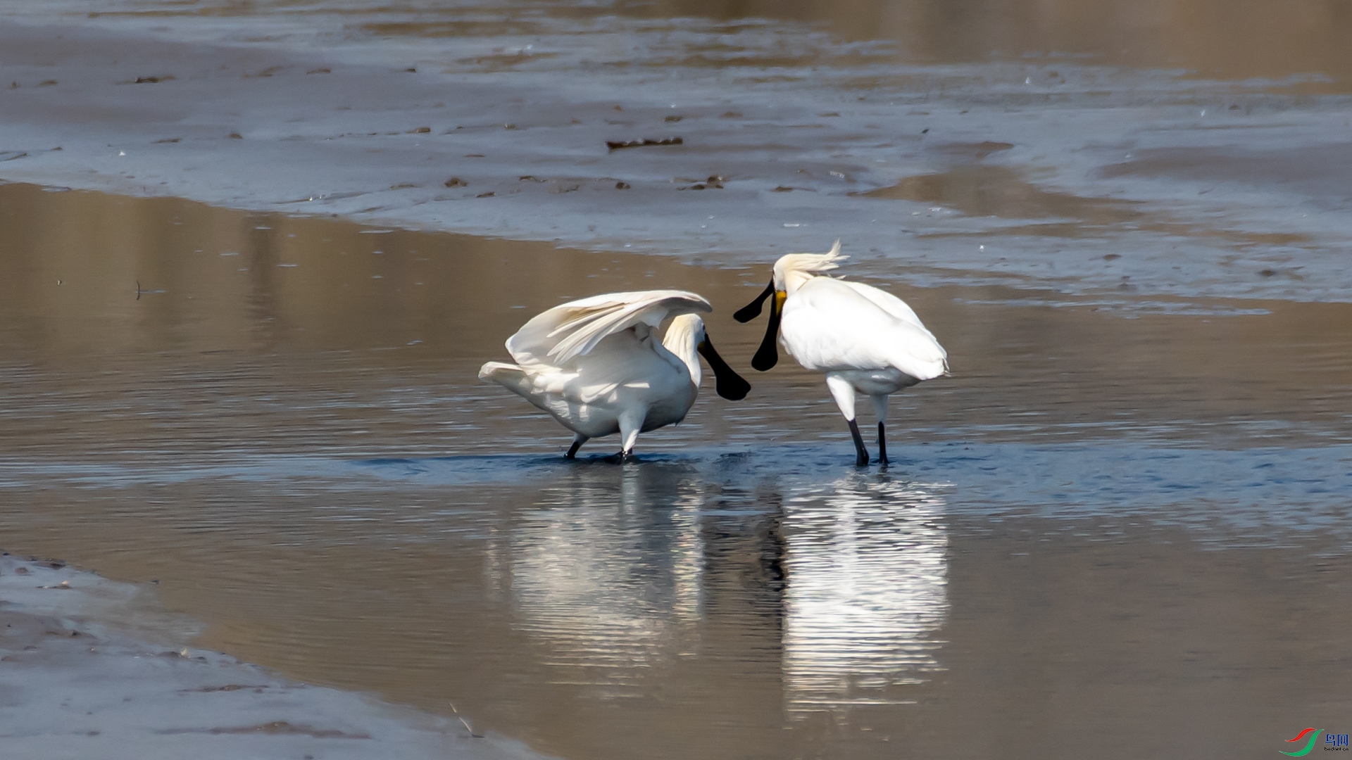 _DSC8605.jpg