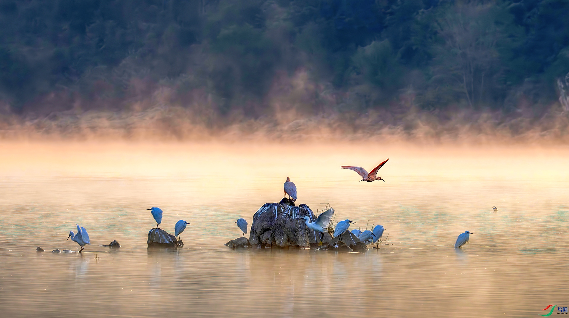 _07A0074-----33   .jpg