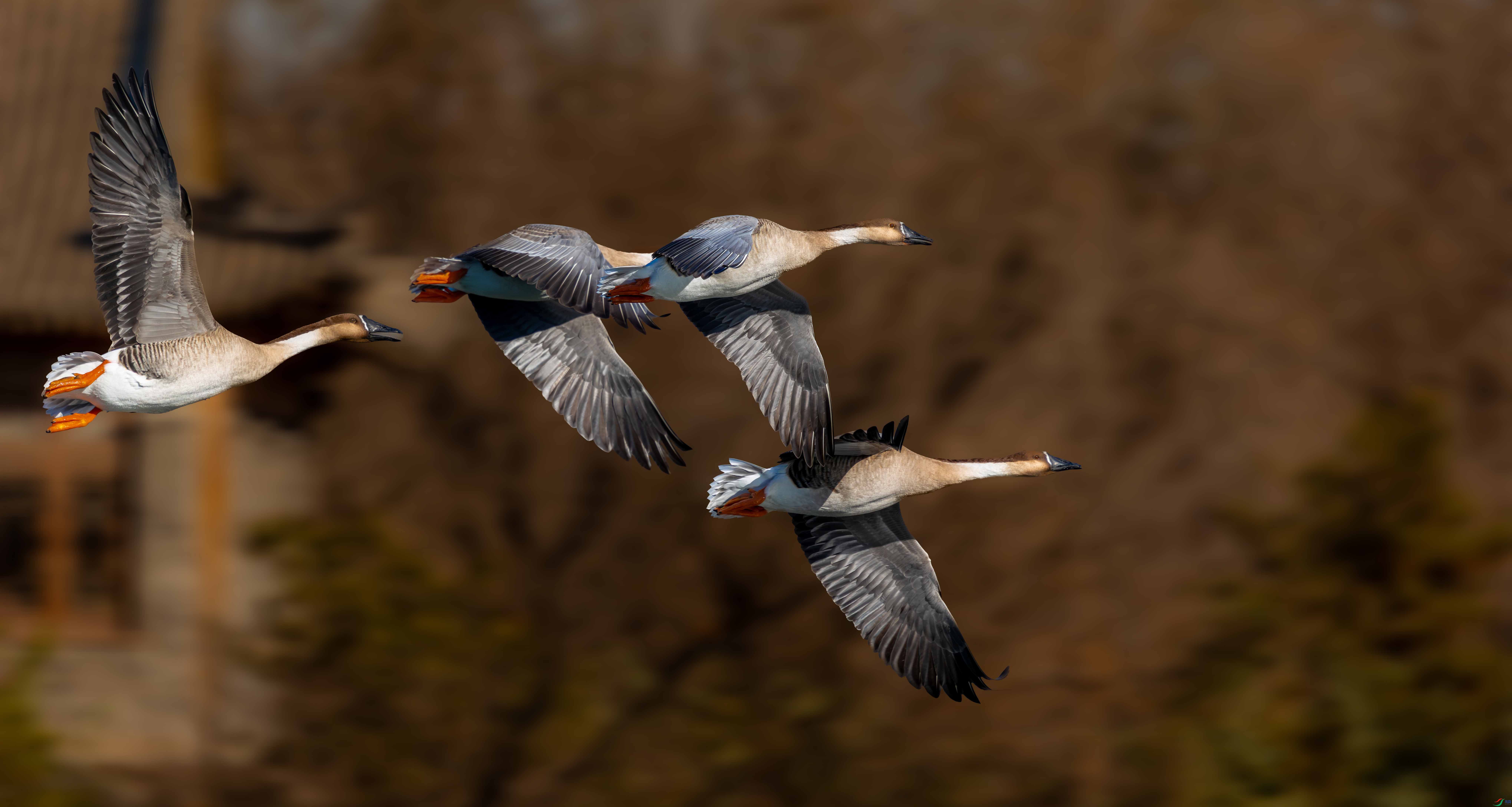 5N2A8333-1 ���� 2.jpg