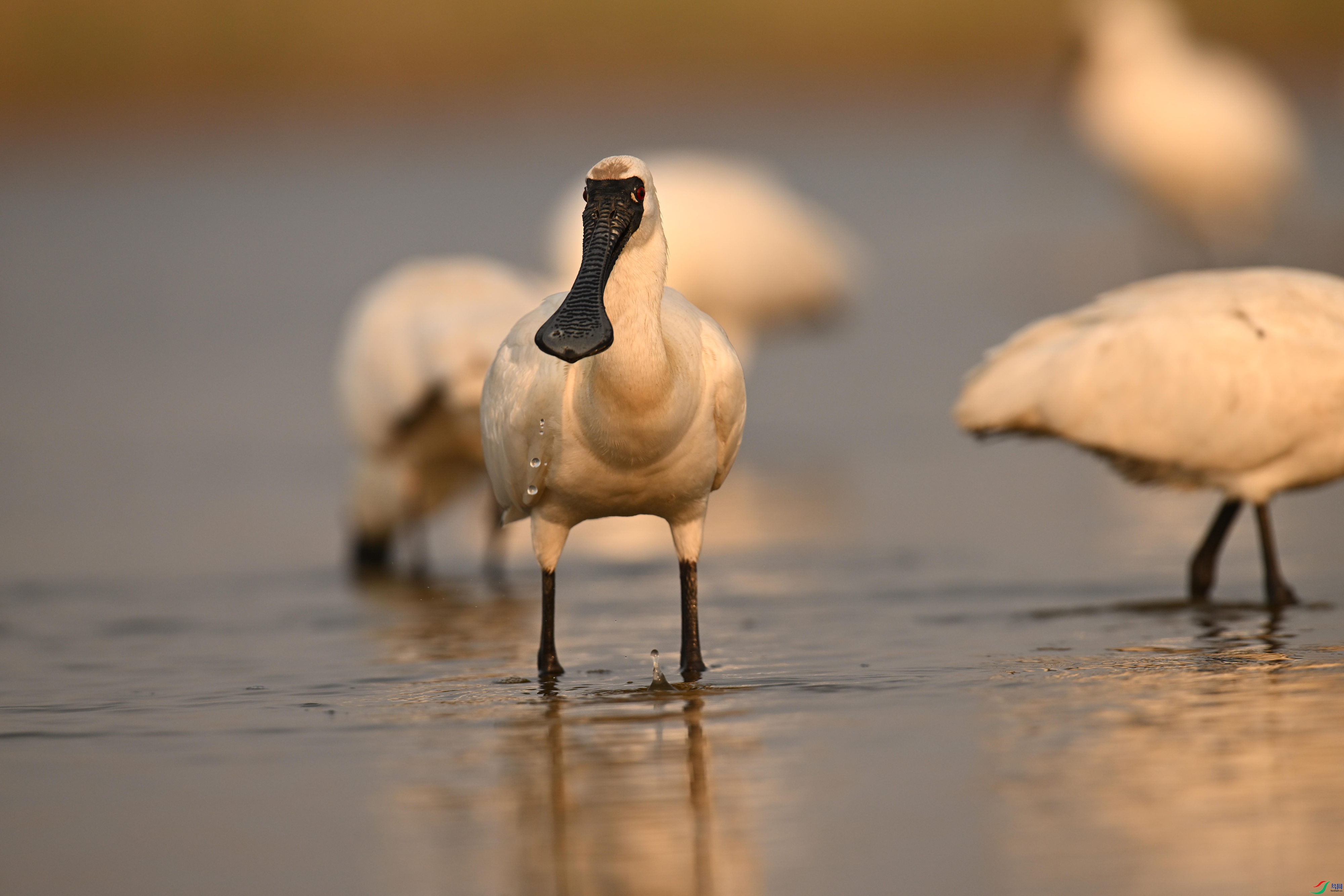 �������� (7).jpg