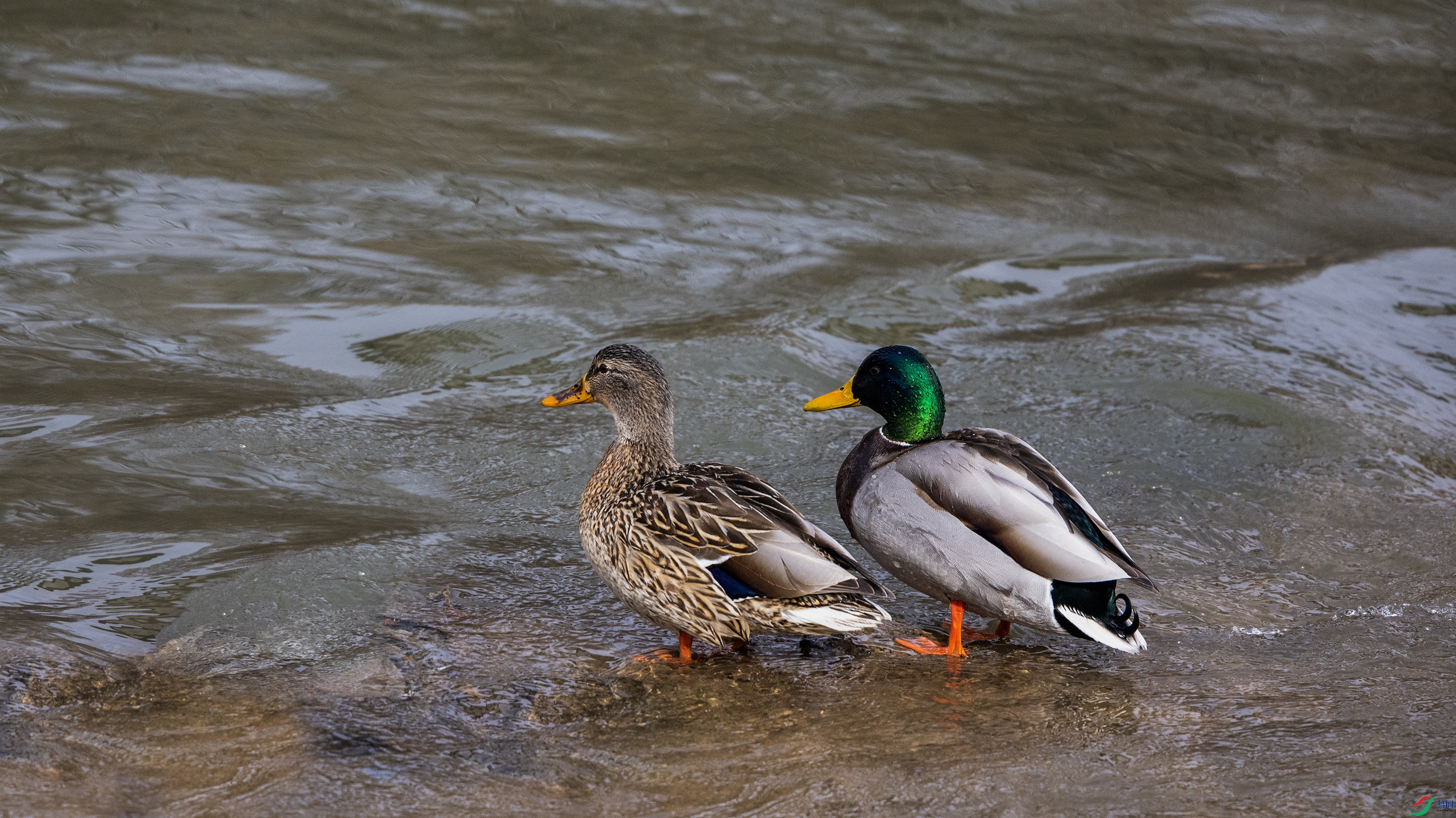 ʱ�������� 1.jpg