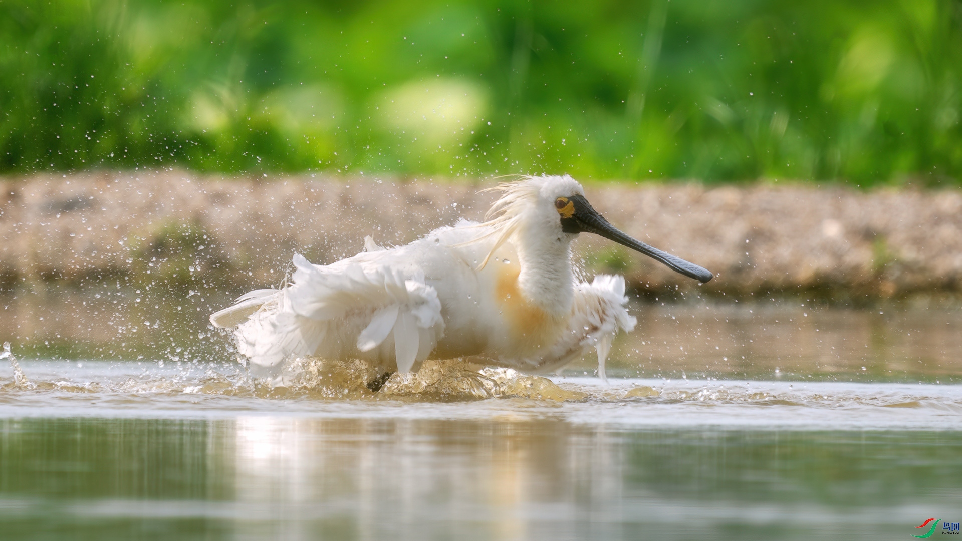 DSC04220 ����.jpg