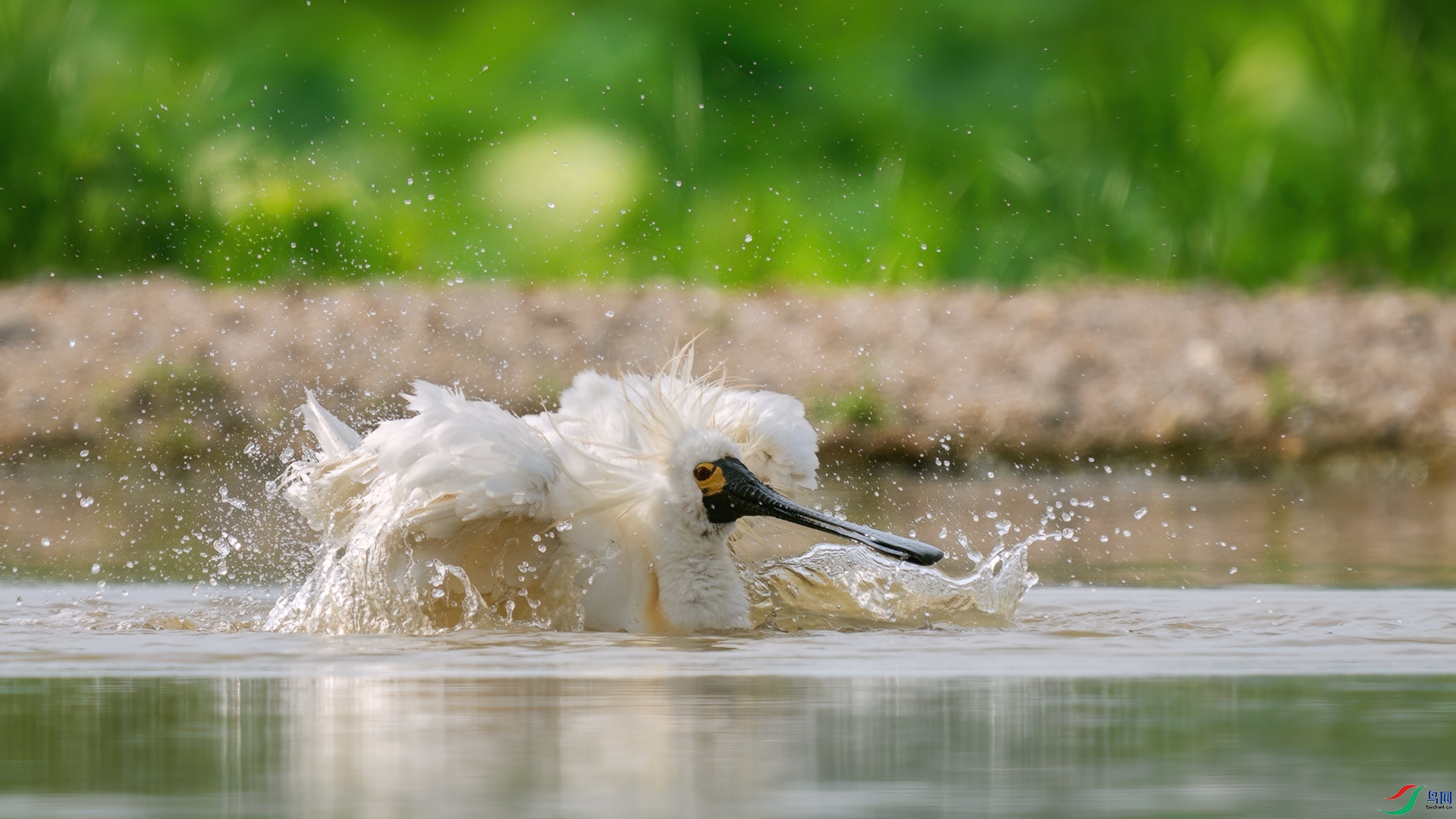 DSC04227 ����.jpg