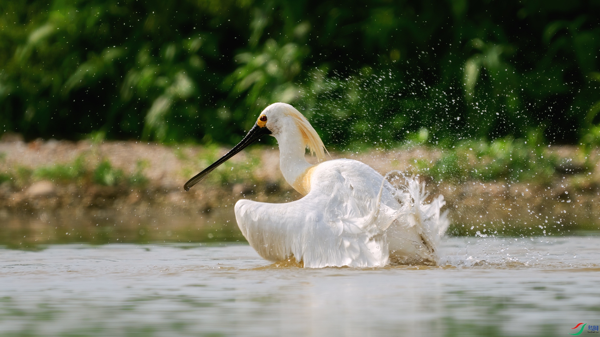 DSC04248 ����.jpg