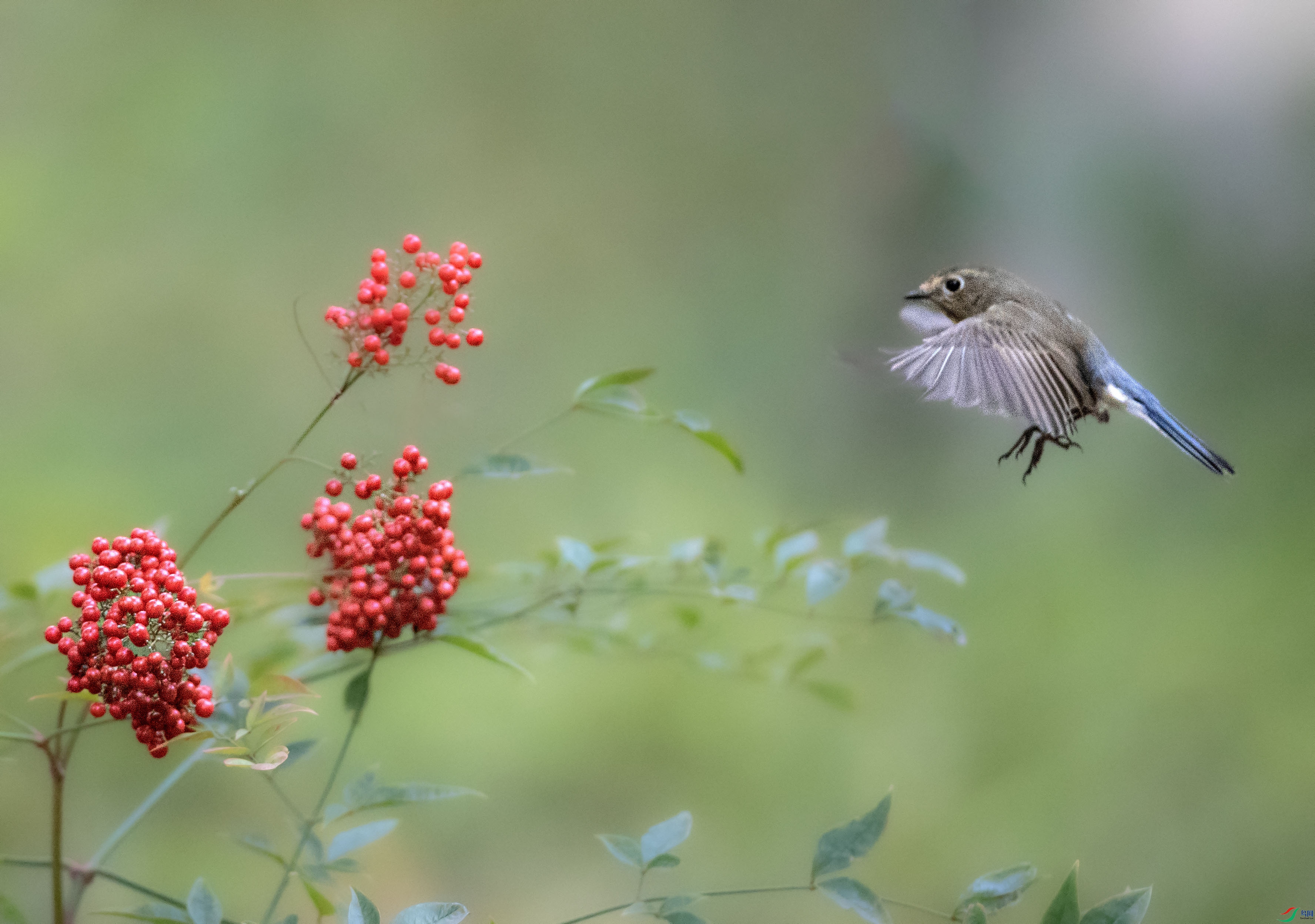 A79I7778 ����.jpg