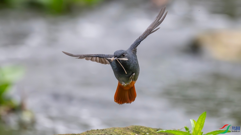 DSC_2439_����.jpg