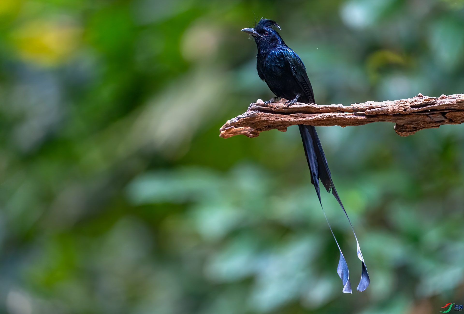 _DSC7383-1.jpg