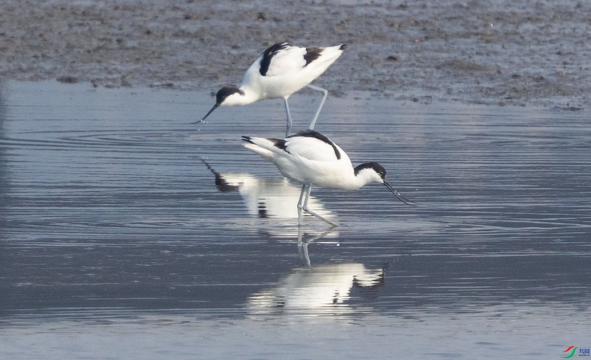 0E8A0996  ��λ 02.jpg