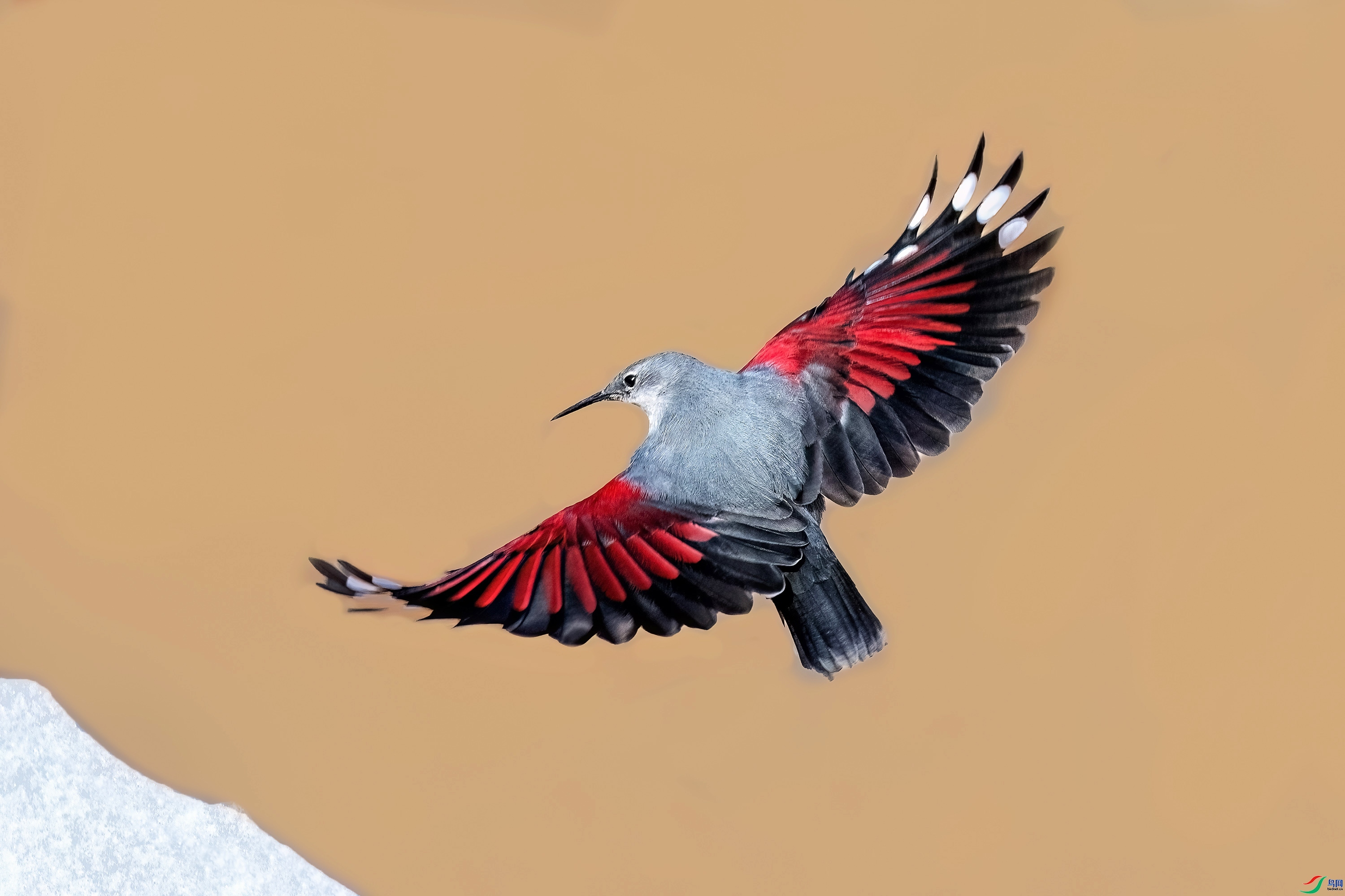 3.18 ������ʦ��Ʒ  ��Ӱ  �ٻ�2026��3��18����Ӱʦ��ҳ����.jpg