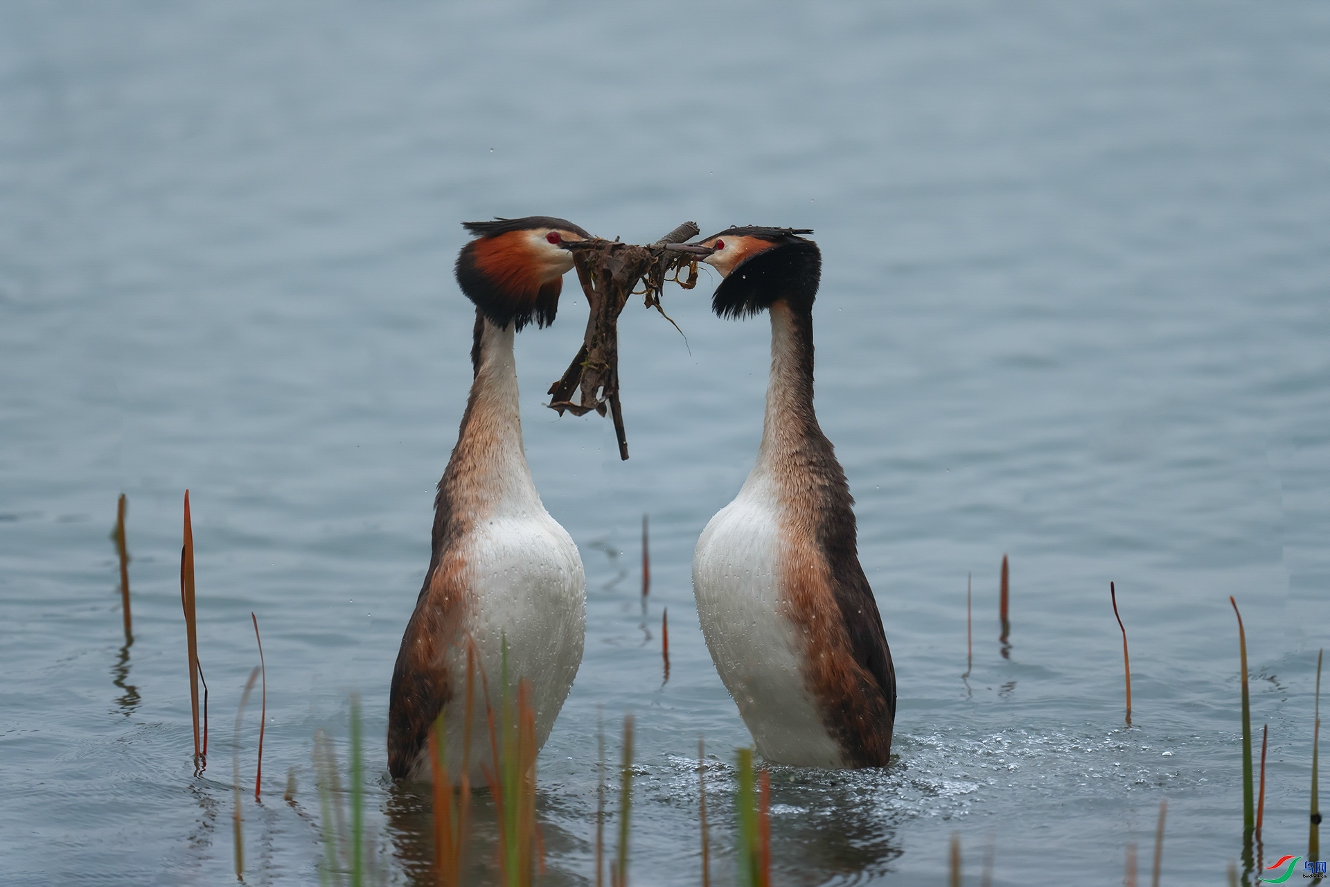 3.21 ��������ʦ��Ʒ  ��ͷPT  �ٻ�2026��3��21����Ӱʦ��ҳ����.jpg