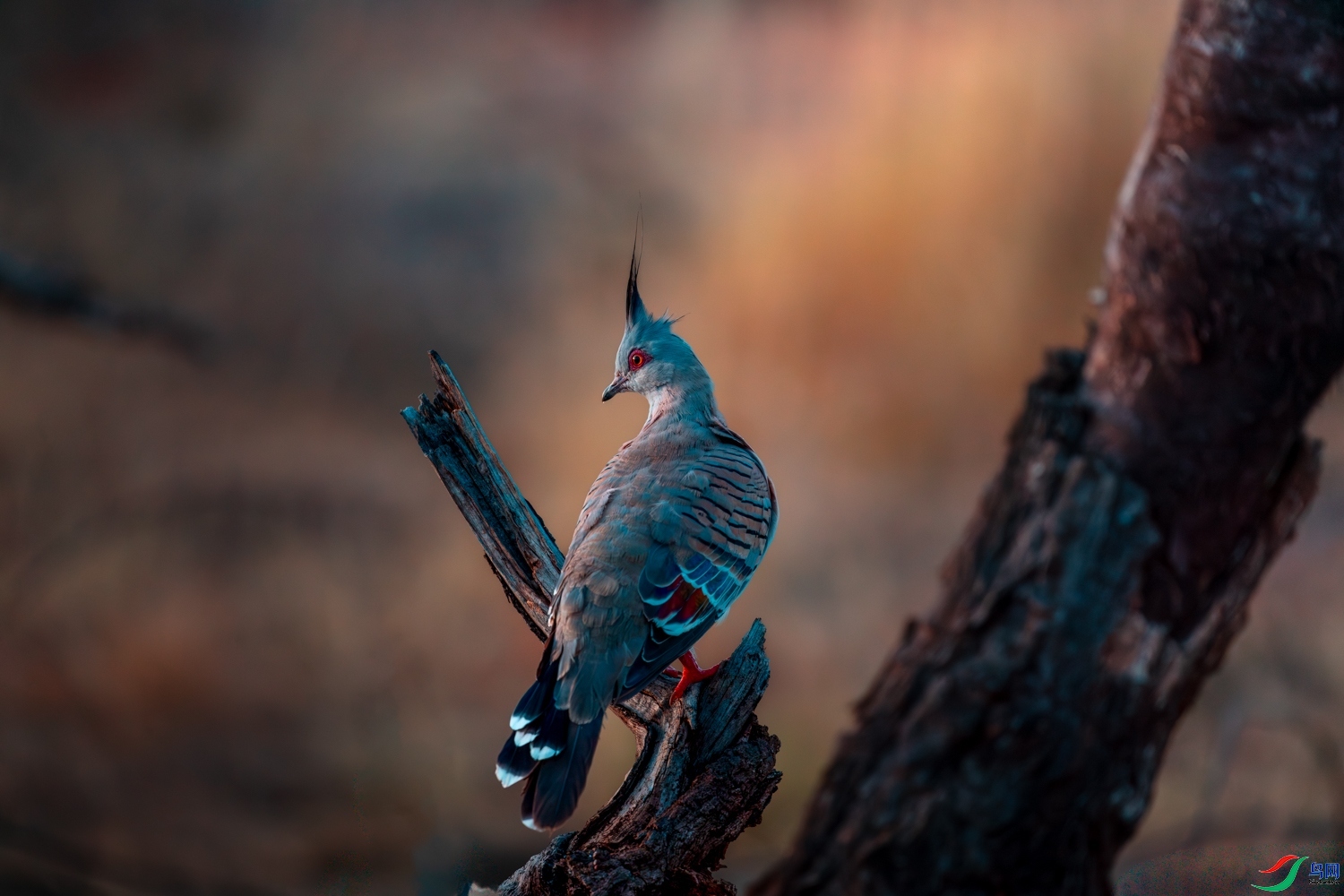 3.21 һ·�����ʦ��Ʒ  ��ͷ�  �ٻ�2026��3��21����Ӱʦ��ҳ����.jpg