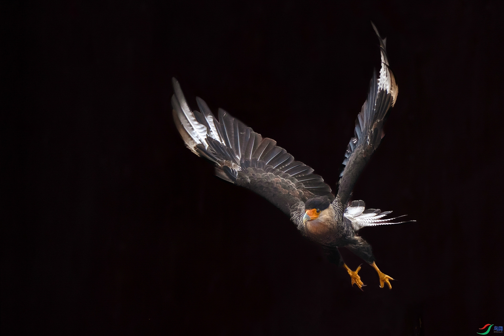 3.23 ��������ʦ��Ʒ  ��ͷ����   �ٻ�2026��3��23����Ӱʦ��ҳ����.jpg