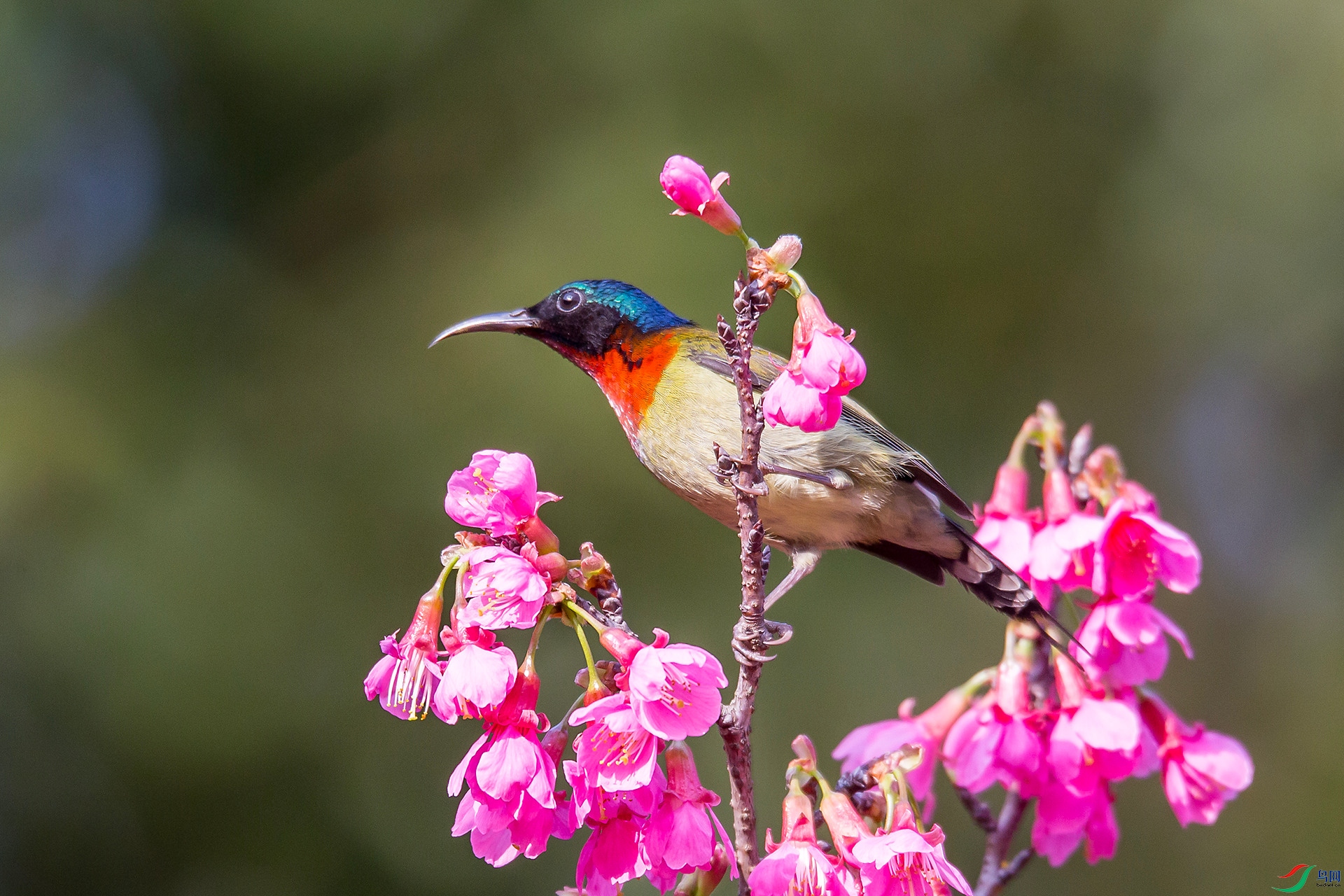 AW8Z0211 ����_����.jpg