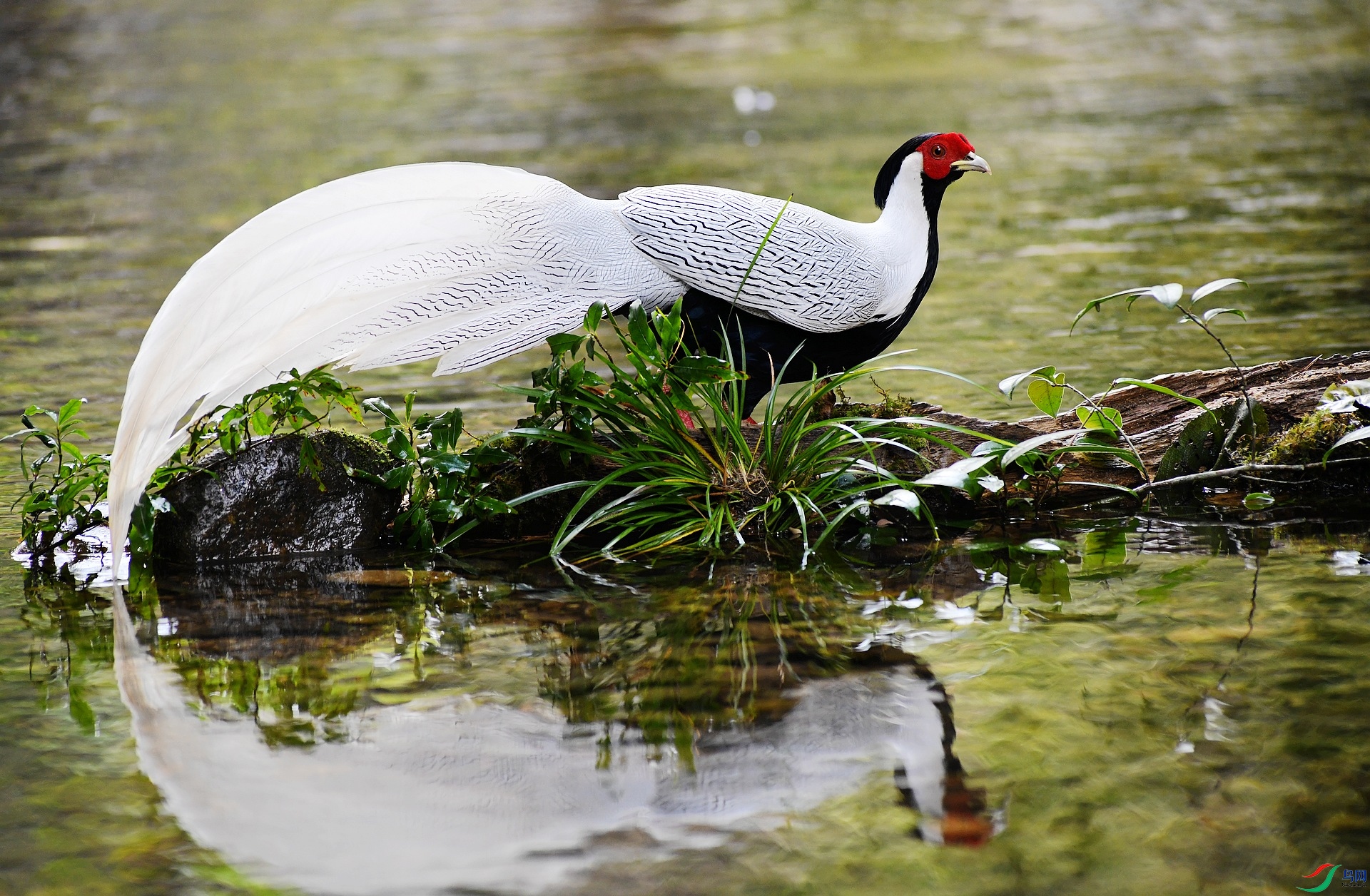 DSC_4148.jpg