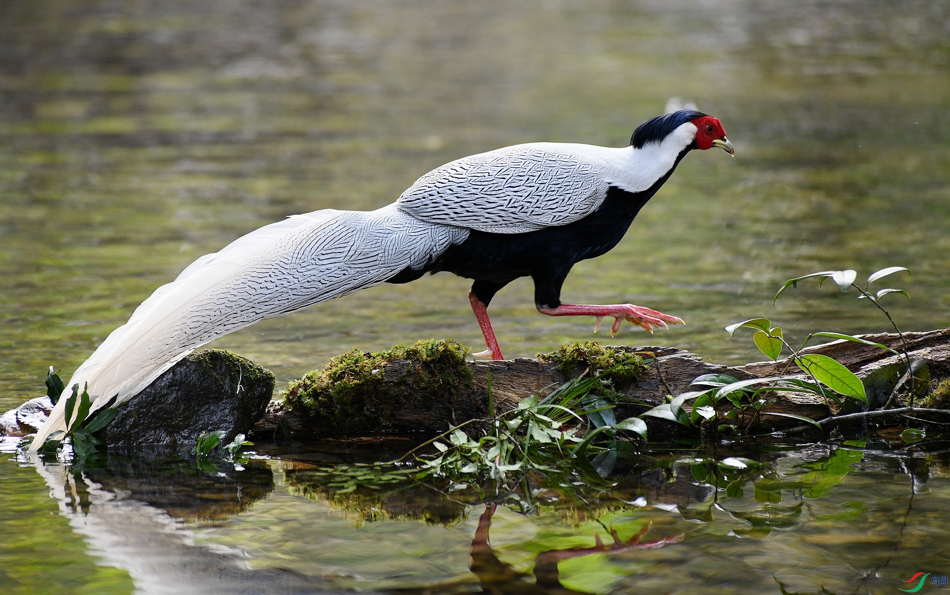 DSC_3996.jpg
