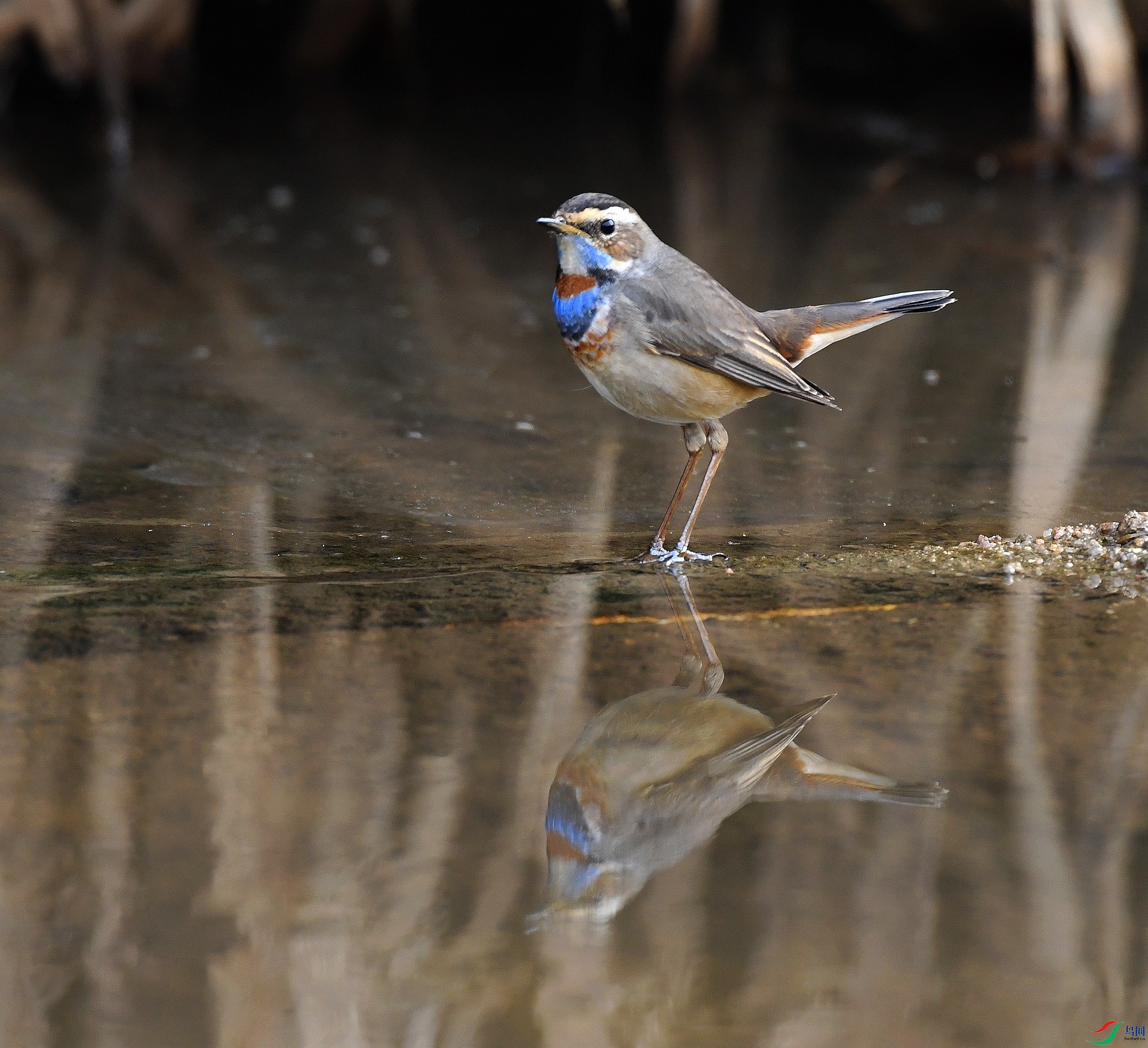DSC_7309.jpg