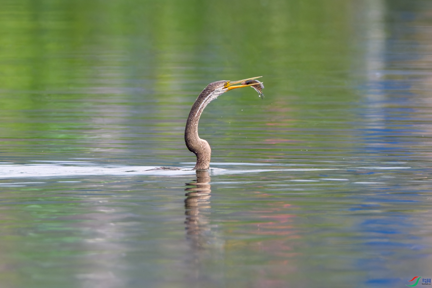 ZZ8_7773AA.jpg