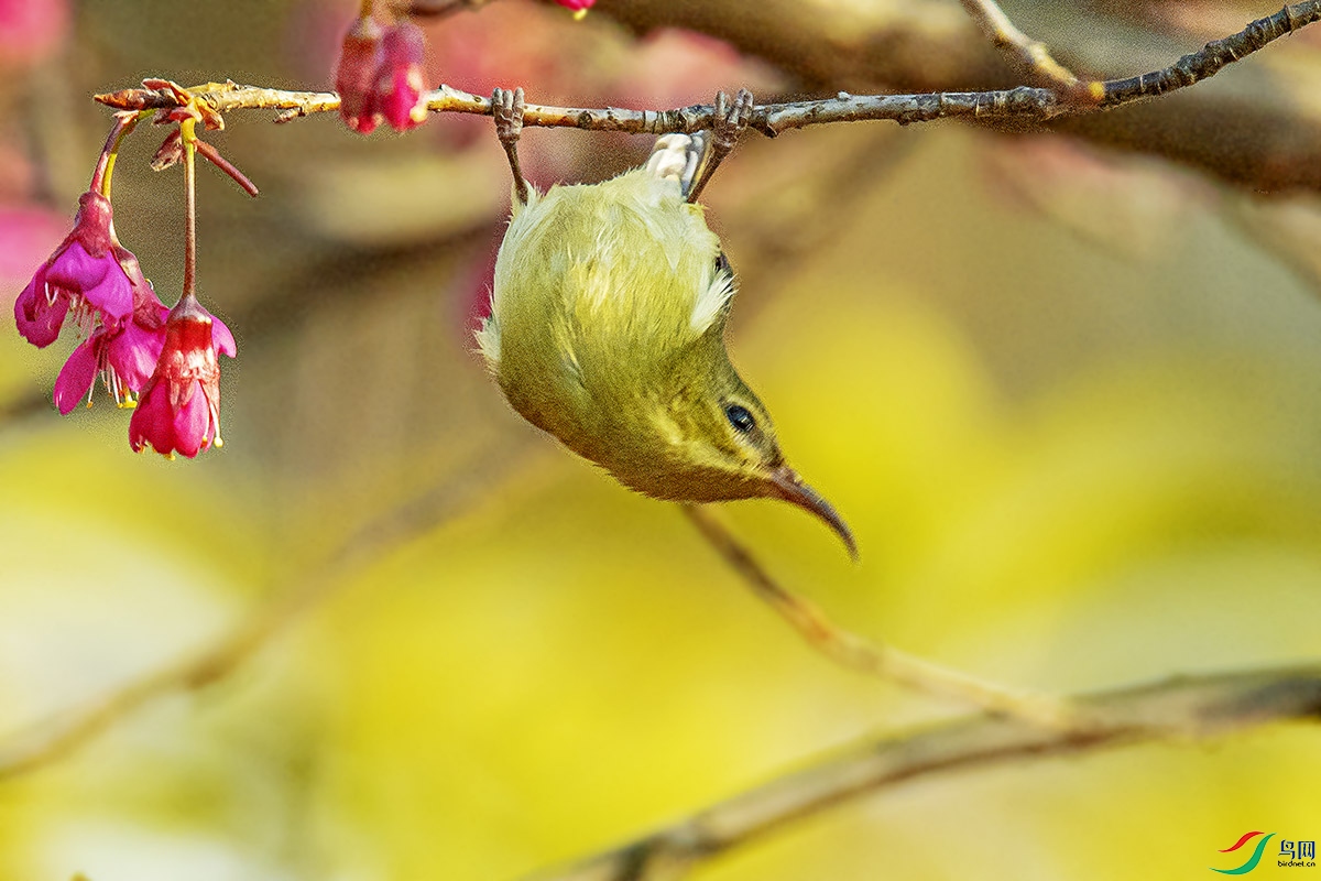 DSC_0734`.jpg