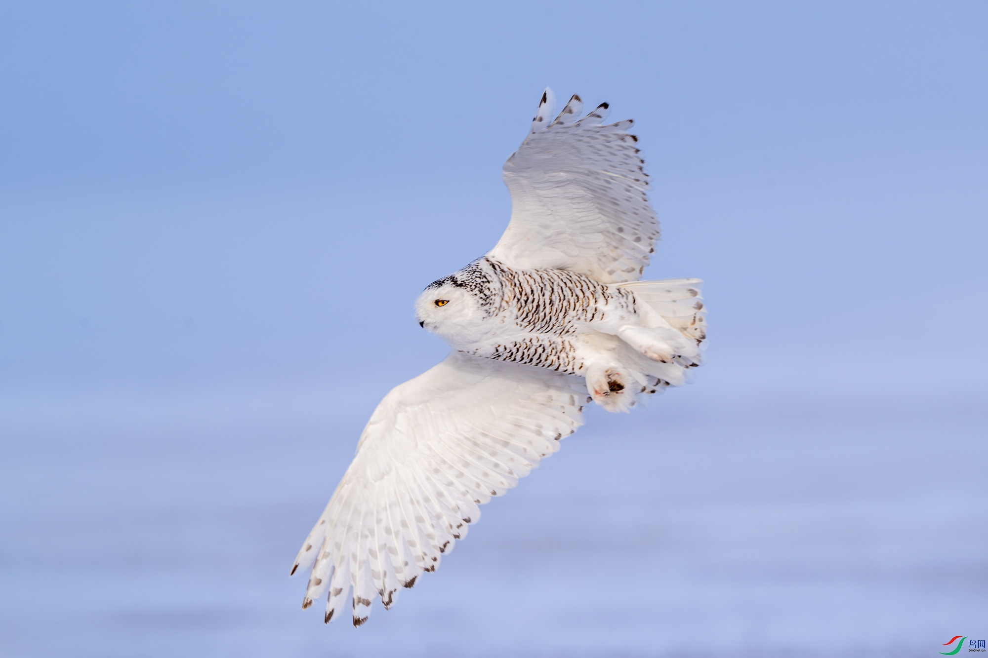 _DSC8705 ����.jpg