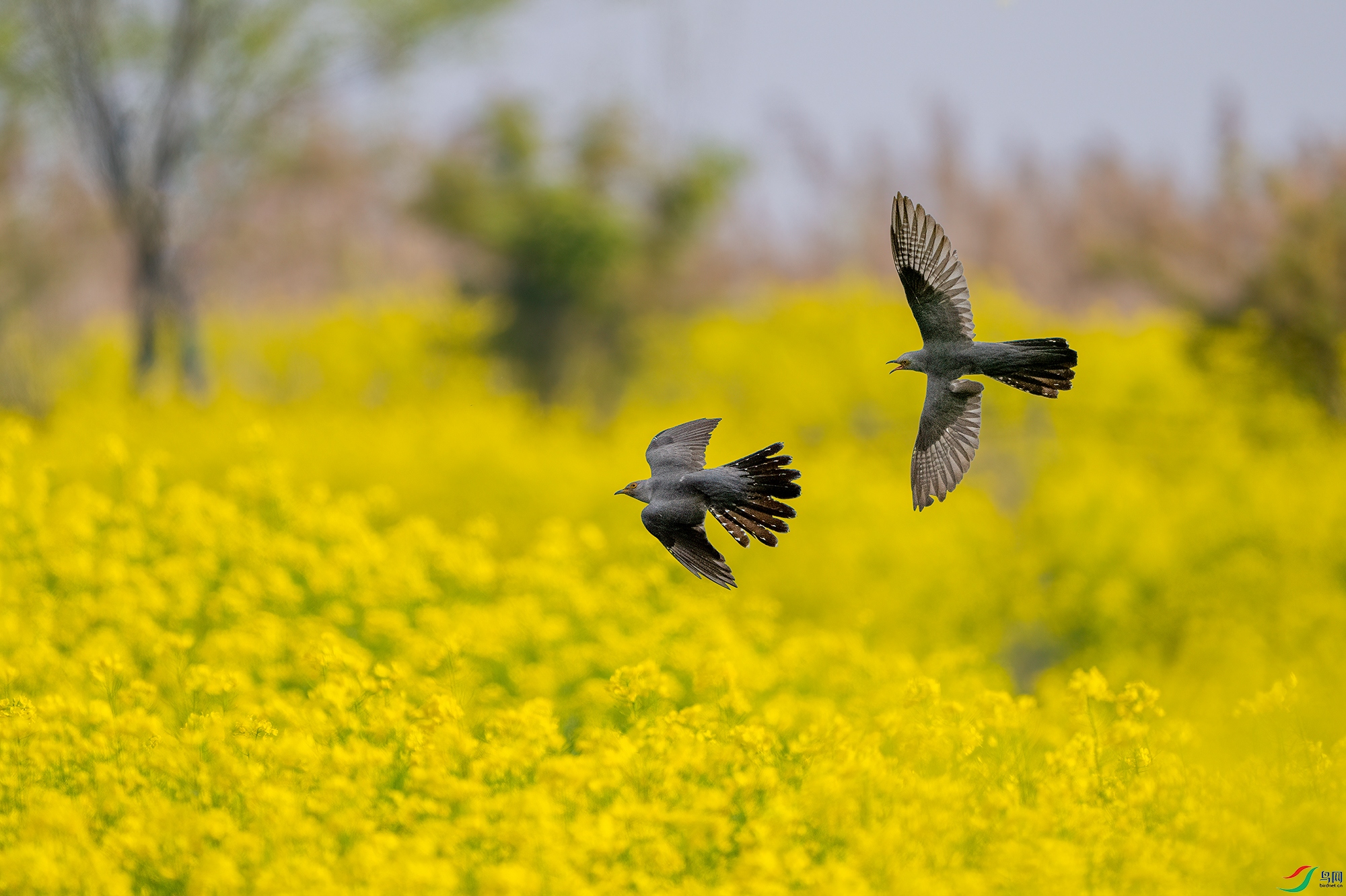 _DSC9256 ����С.jpg